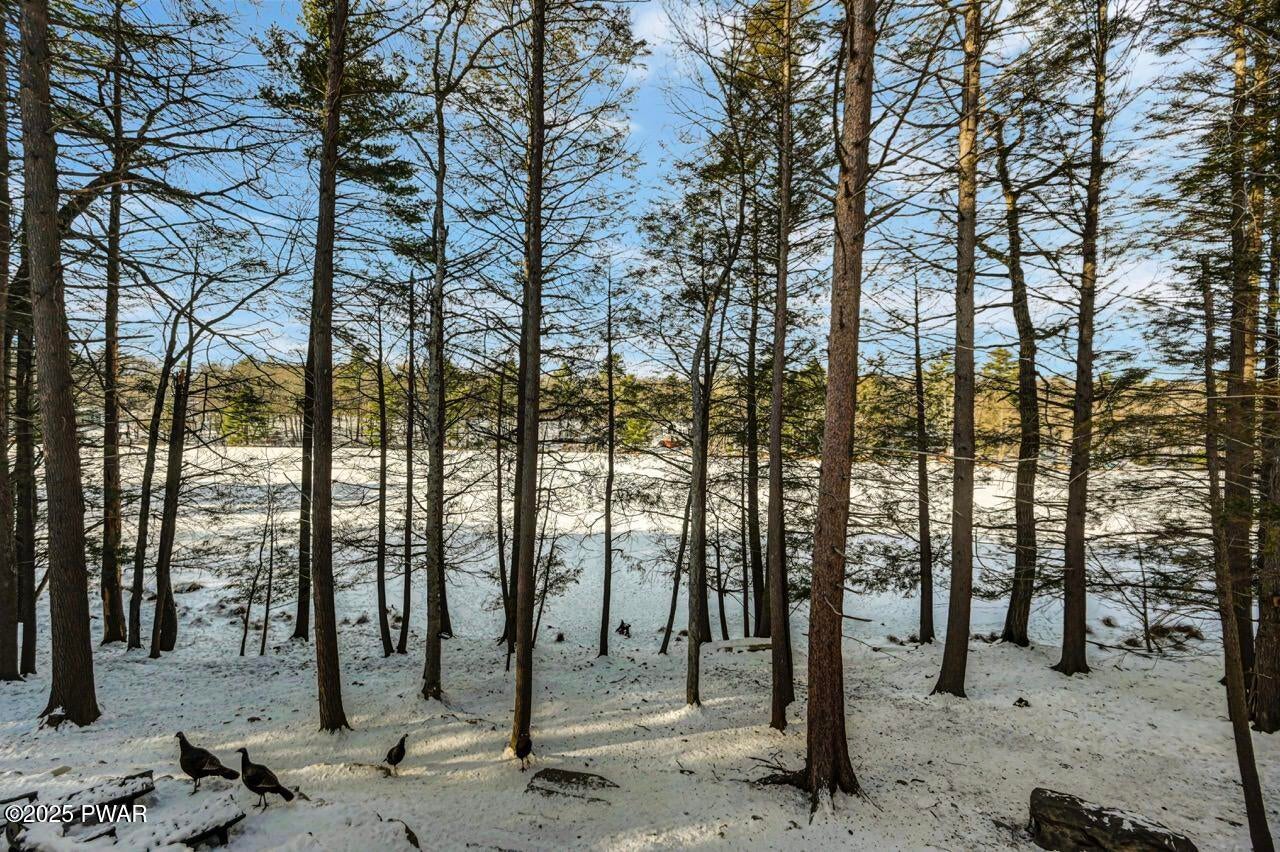 Dingmans Ferry, Pennsylvania, 18328, United States, 2 Bedrooms Bedrooms, ,1 BathroomBathrooms,Residential,For Sale,2006132