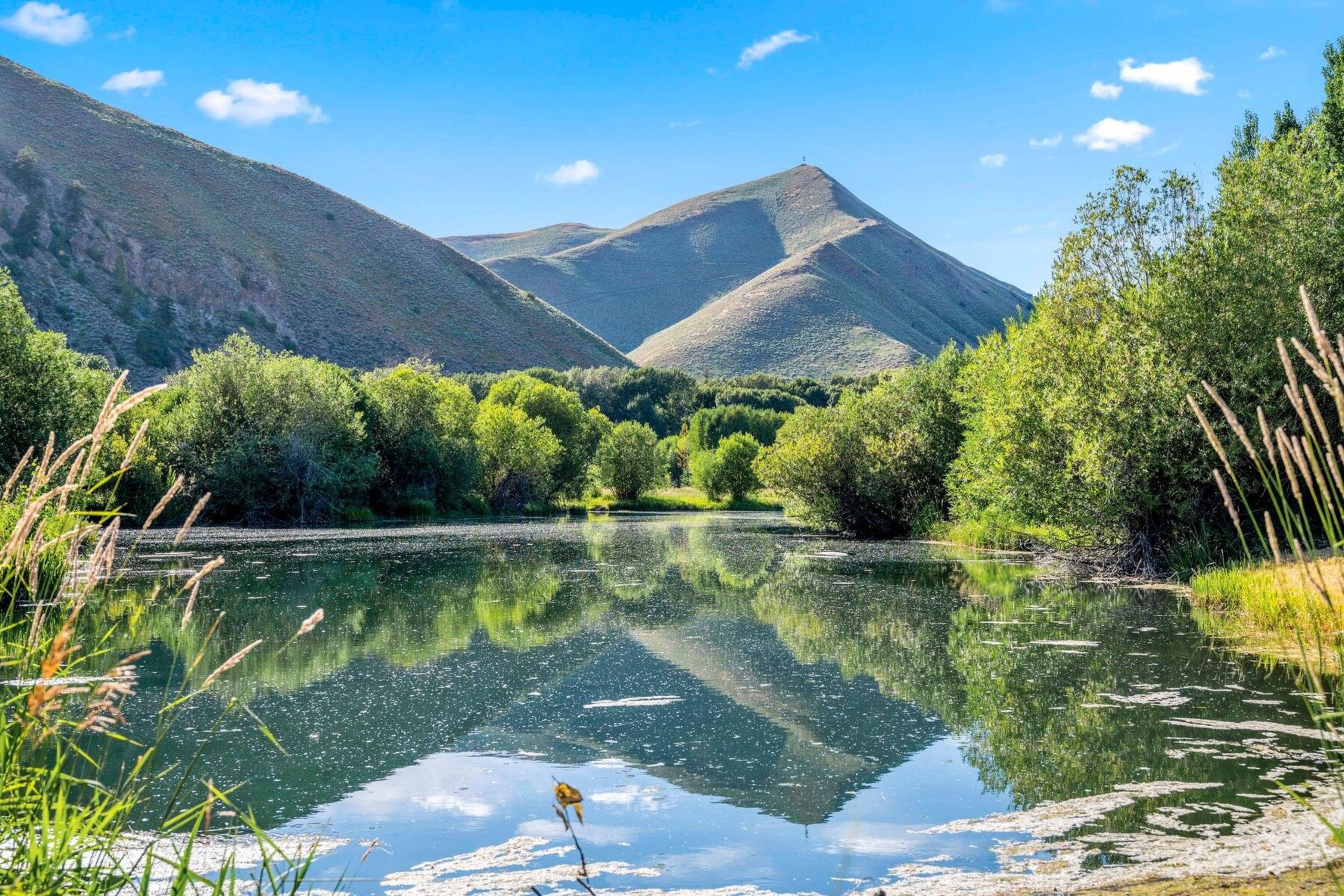  Bend Of The River Ranch - 物件實景