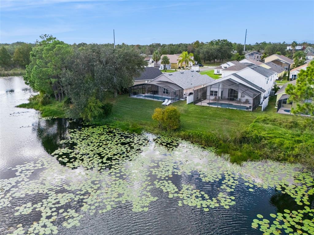 Kissimmee, Florida, 34747, United States, 6 Bedrooms Bedrooms, ,4 BathroomsBathrooms,Residential,For Sale,1992818