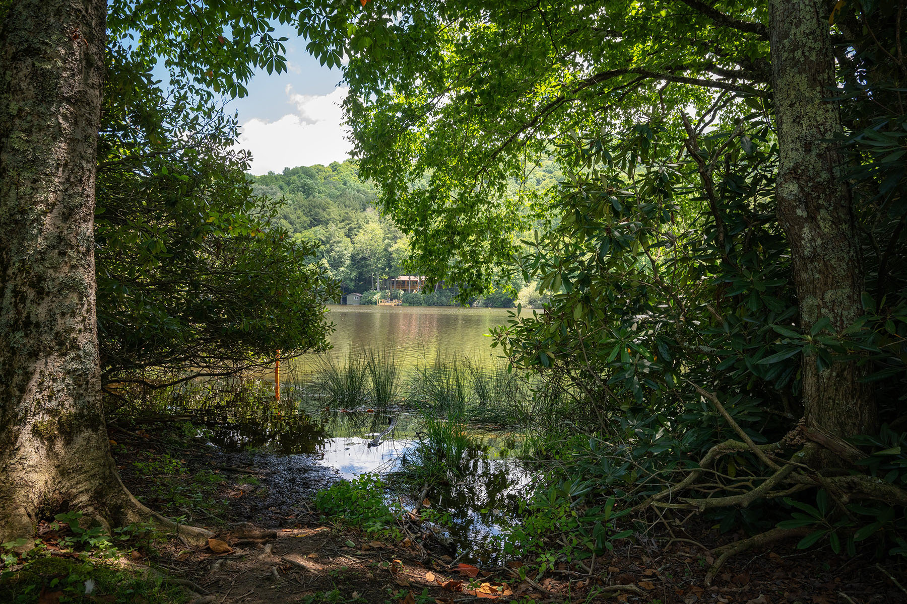  ROAN MOUNTAIN - RIPSHIN LAKE CORPORATION - 物件實景