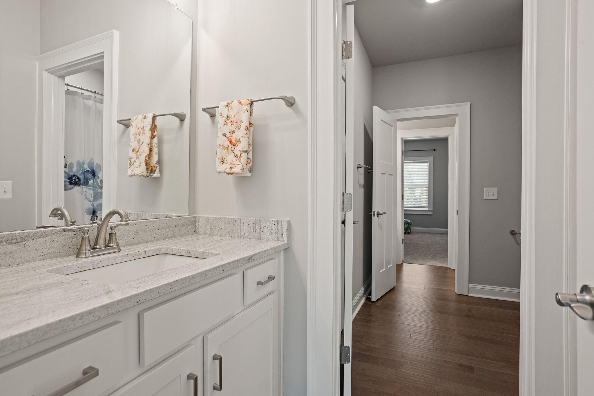  6 Peyton Lane, Simpsonville, SC 29681 - 物件實景