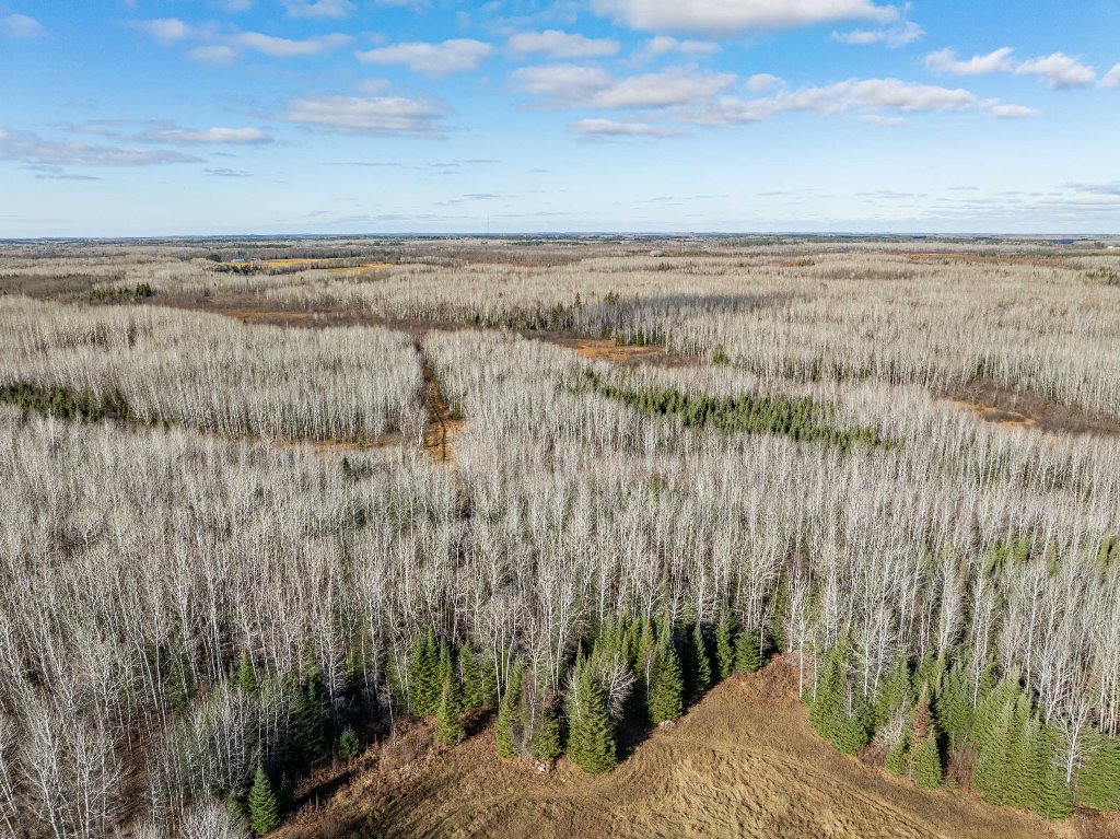 Grand Rapids, Minnesota, 55744, United States, ,Land,For Sale,1983791