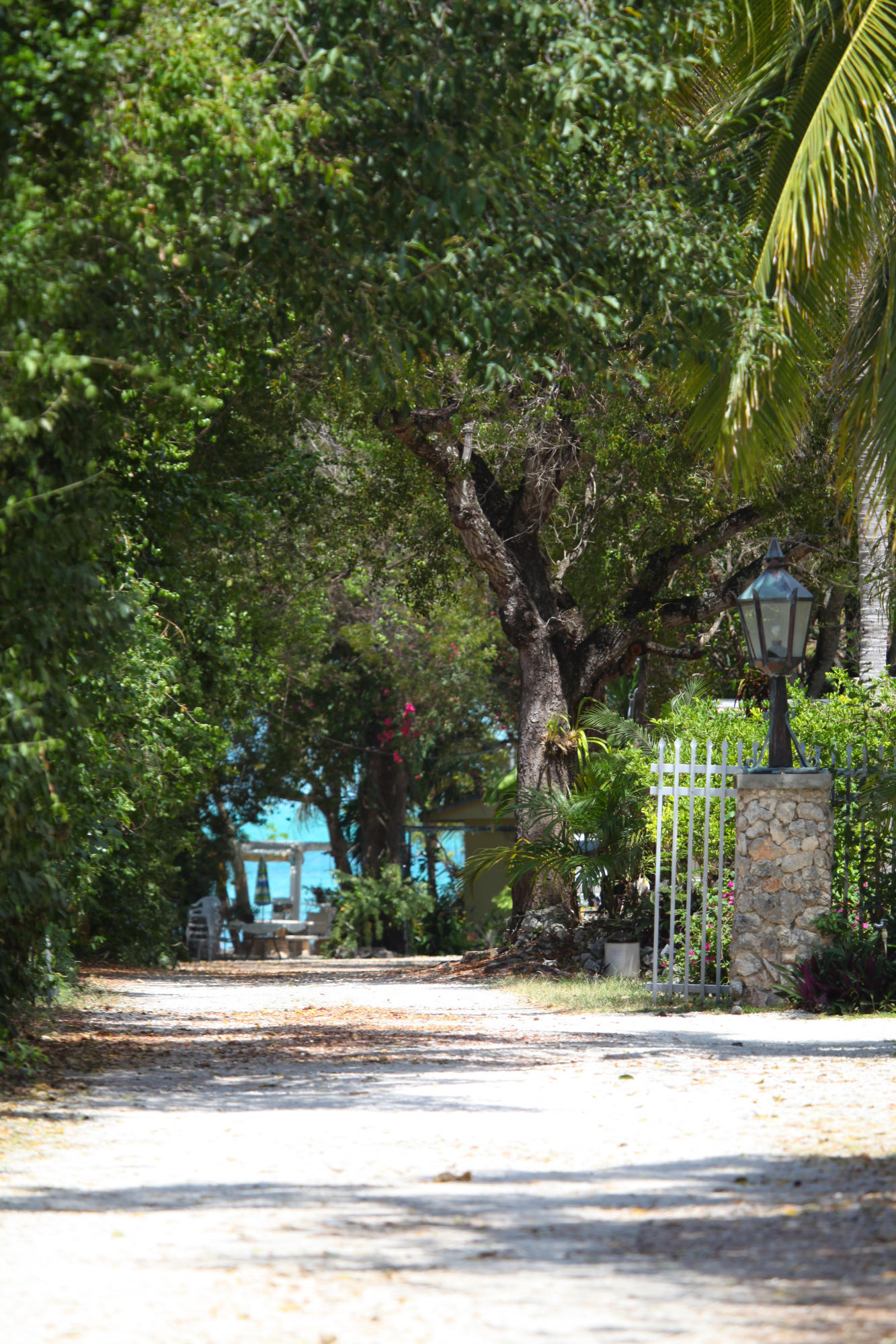 KEY LARGO, Florida, 33037, United States, 10 Bedrooms Bedrooms, ,9 BathroomsBathrooms,Residential,For Sale,1759223