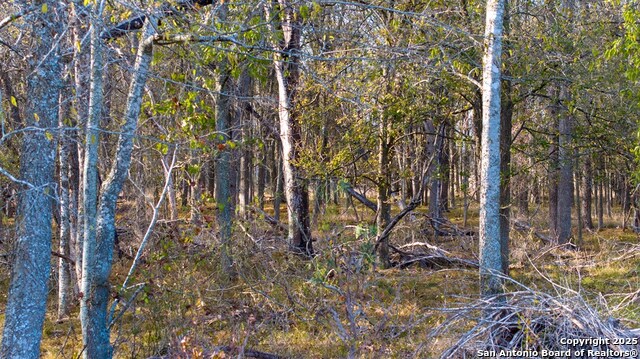 Other, 11111, United States, ,Land,For Sale,1951420