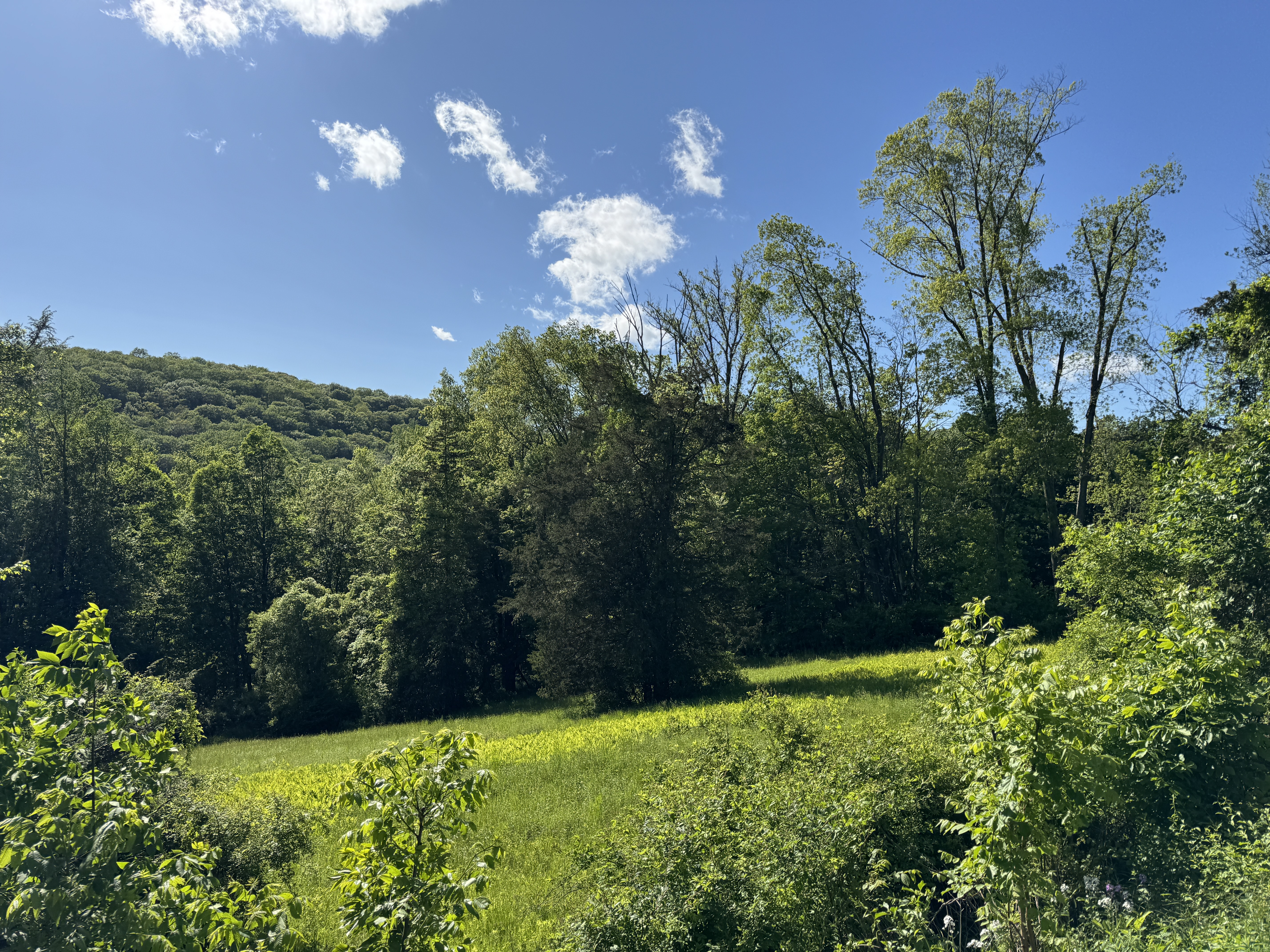  Rte 39 South, State Route - 物件實景
