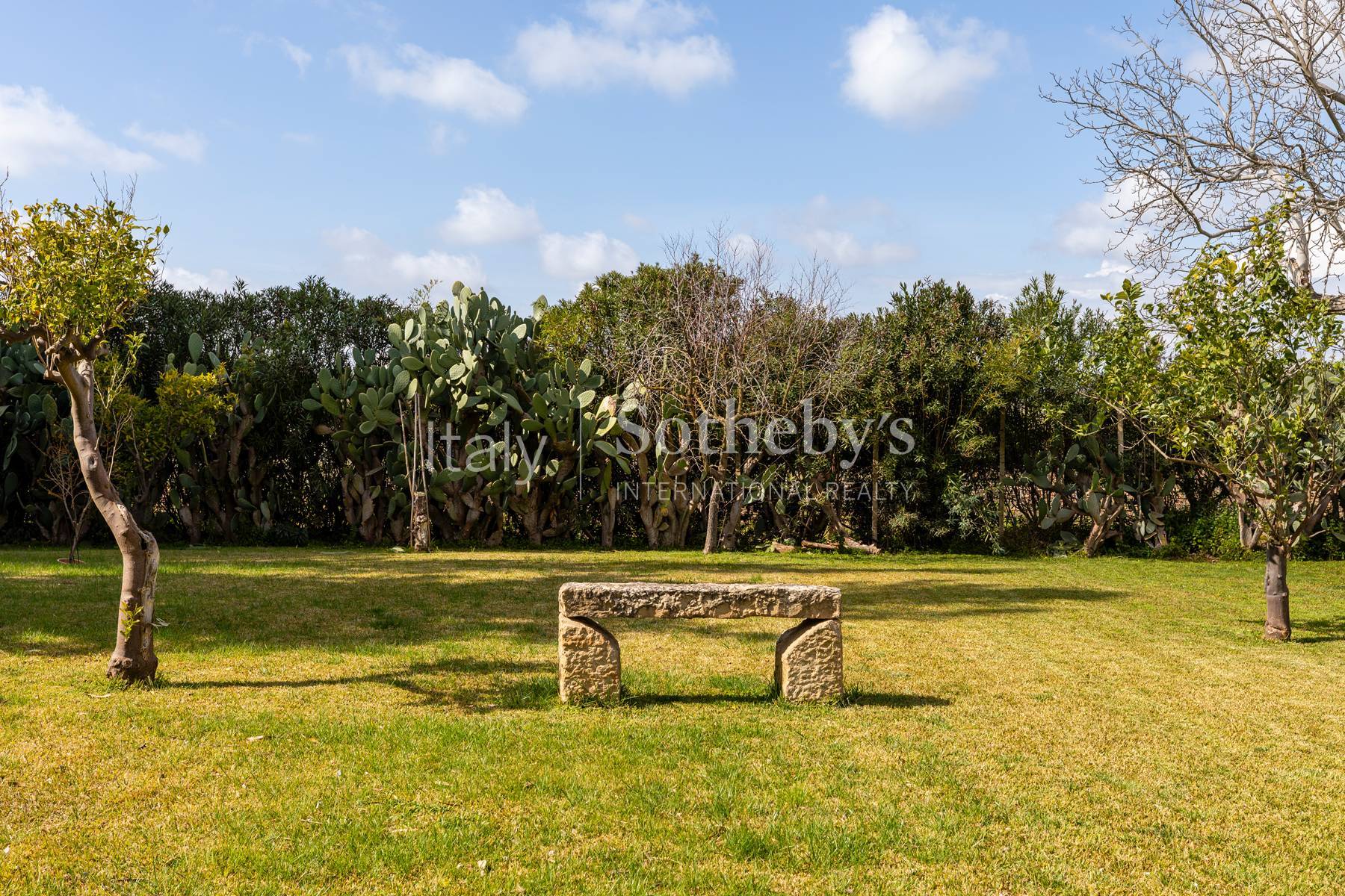  Historic Sicilian wine estate with vineyards and olive grove - 物件實景