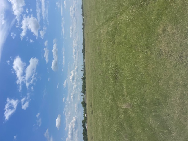 Holland, Texas, 76534, United States, ,Residential,For Sale,1994334