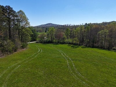 Blairsville, Georgia, 30512, United States, ,Land,For Sale,1933654