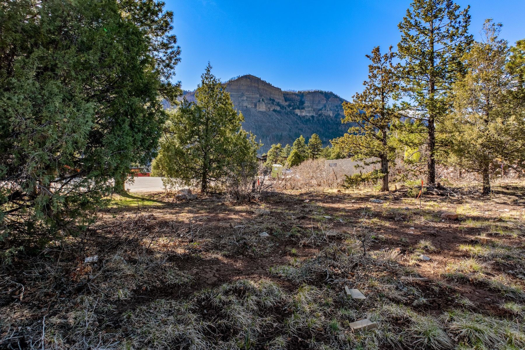  557 Glacier Cliff Drive, Durango, CO 81301 - 物件實景