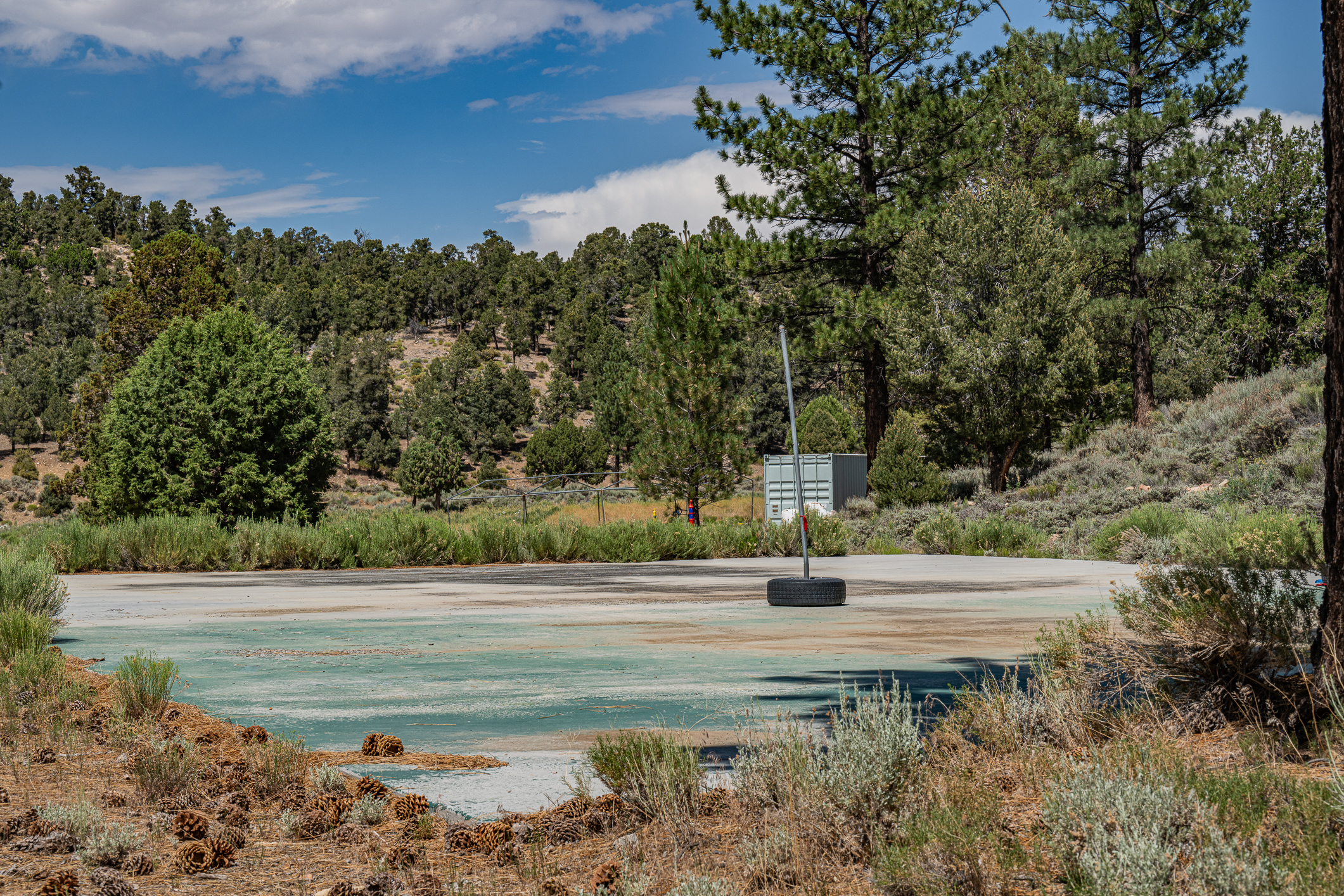  550 Eagle Ridge Road, Big Bear Lake, CA 92314 - 物件實景