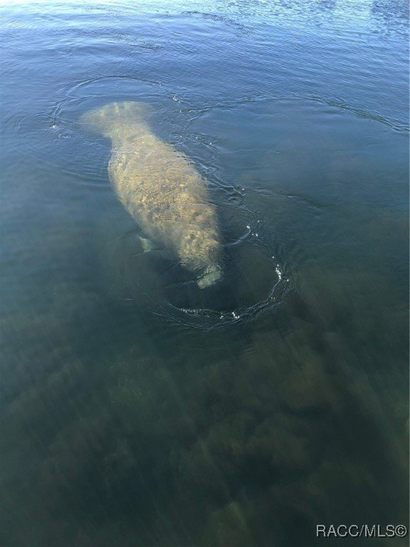 Lecanto, Florida, 34461, United States, 3 Bedrooms Bedrooms, ,3 BathroomsBathrooms,Residential,For Sale,1996751