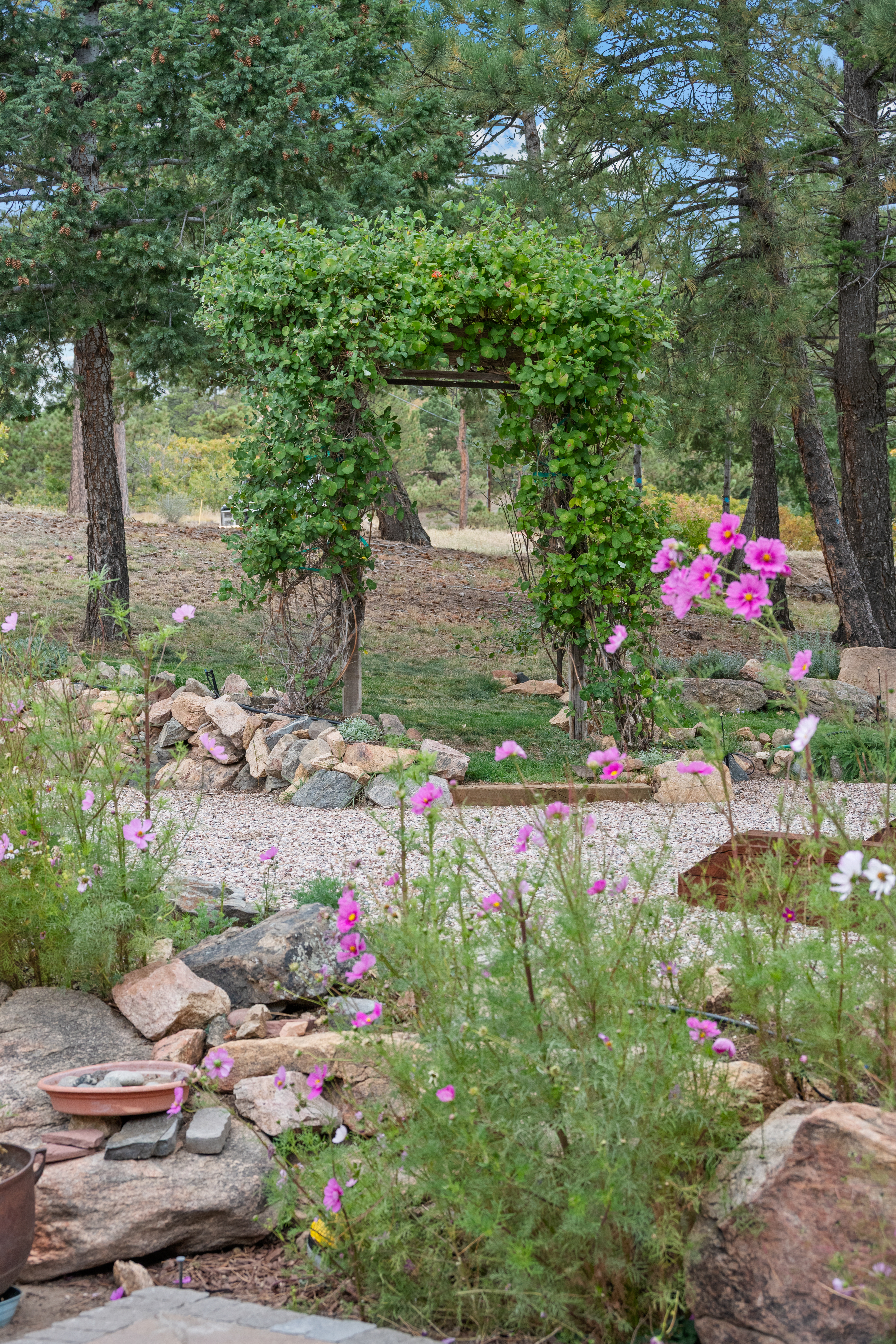 Chatfield Reservoir Log Home on Horse-Friendly 5 Acres with Wrap-Around Decks - 物件實景