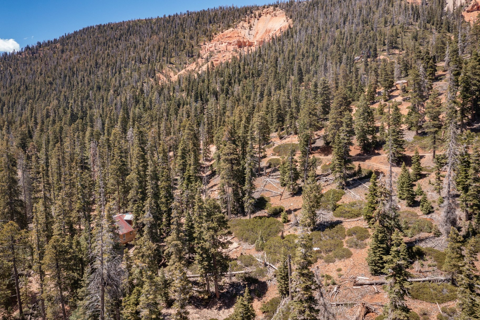  Quiet Mountain Retreat Near Navajo Lake - 物件實景
