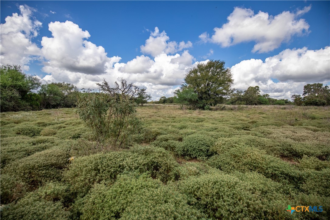 Cuero, Texas, 77954, United States, ,Residential,For Sale,1949163