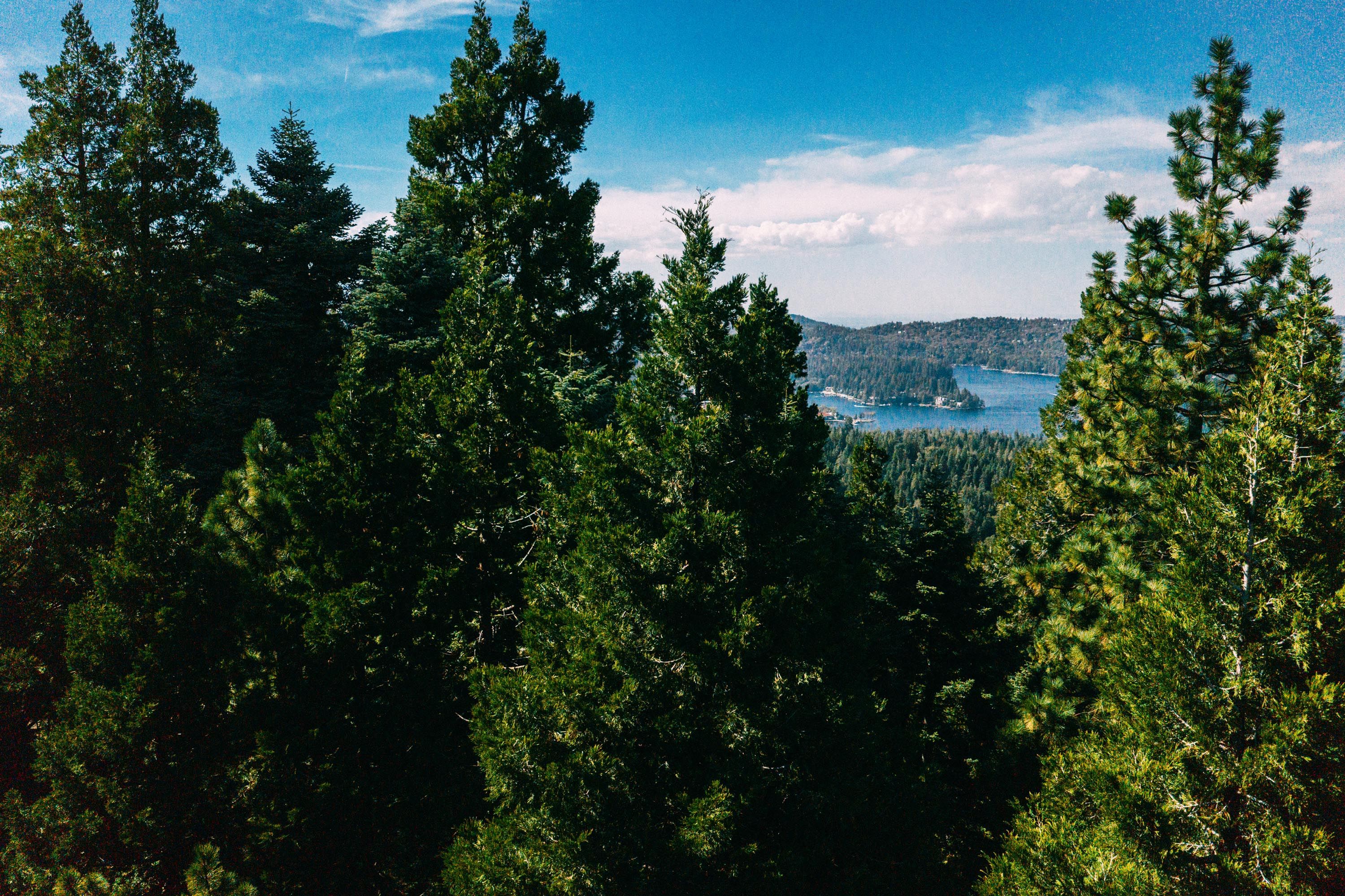 0 Cumberland , Lake Arrowhead, CA 92321 - 物件實景