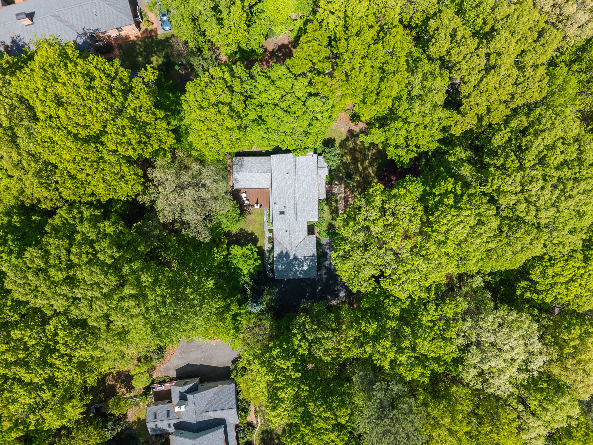  8 Sedgewood Road, Chapel Hill, NC 27514 - 物件實景