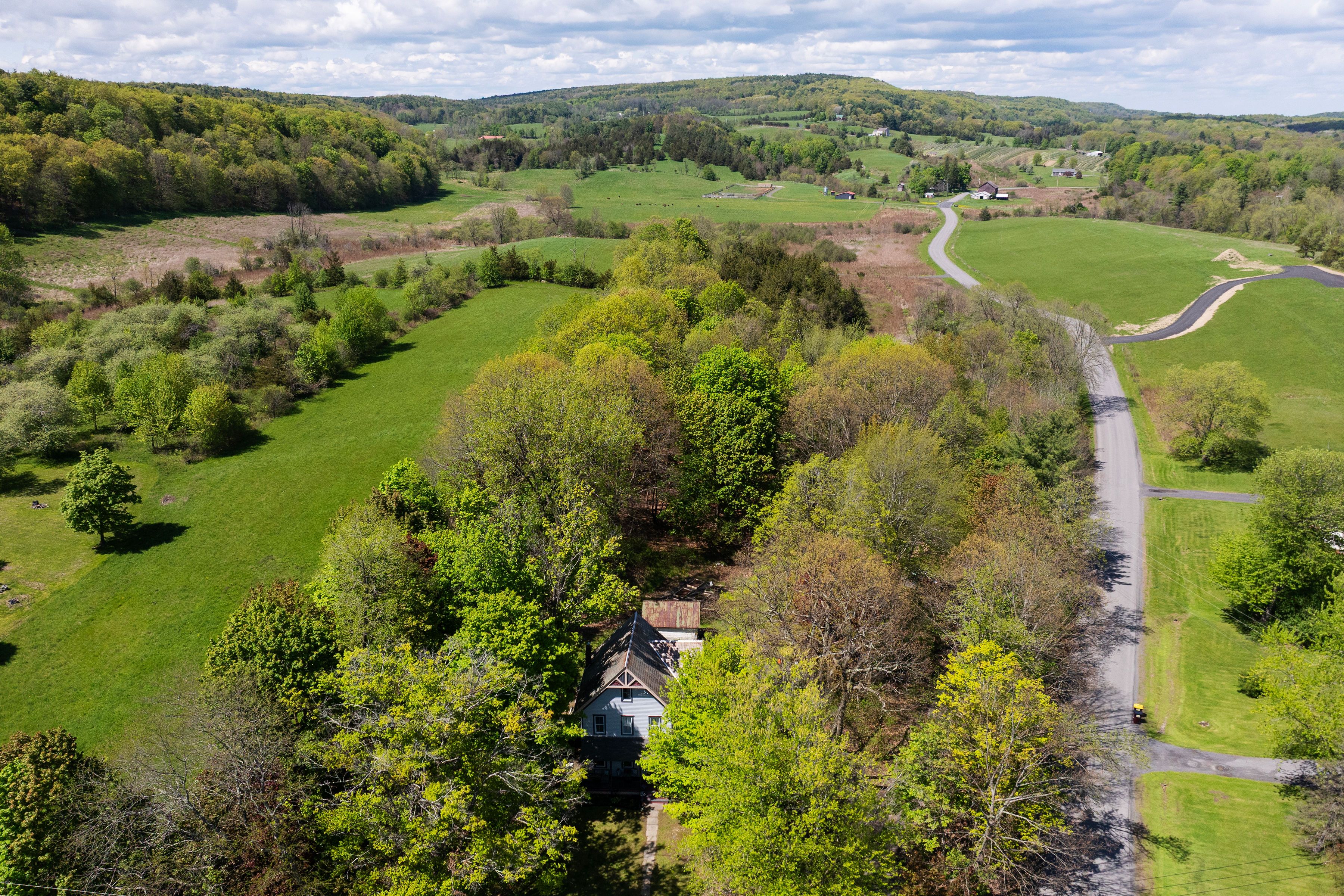  43 Vedder Road, Climax, NY, 12042 - 物件實景