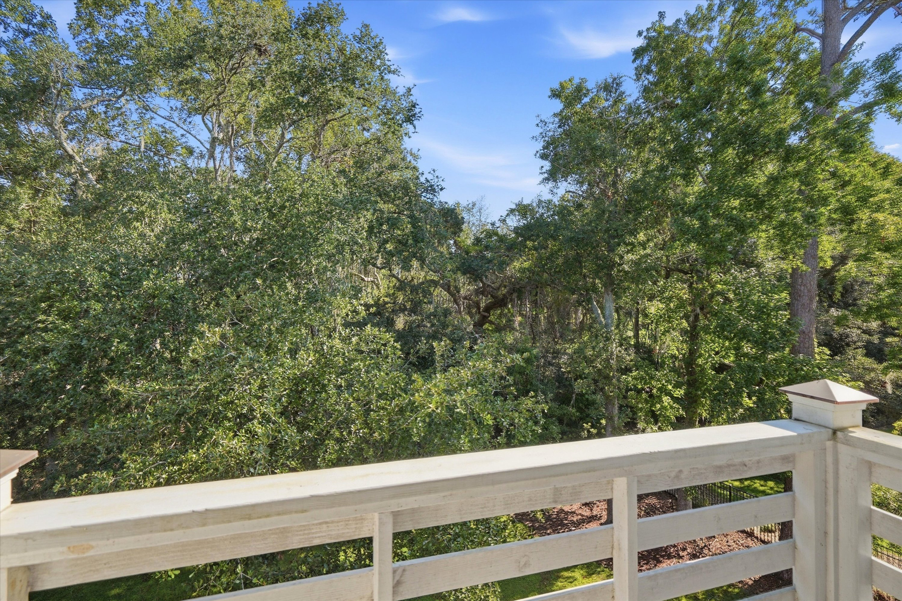  2914 Maritime Forest Drive, Johns Island - 物件實景