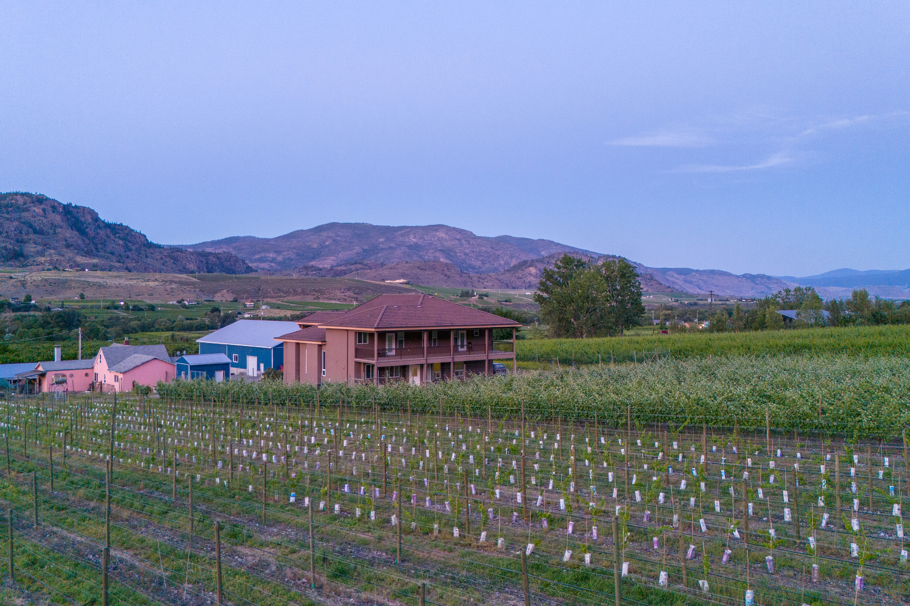  Vineyard Estate Receivership - 物件實景