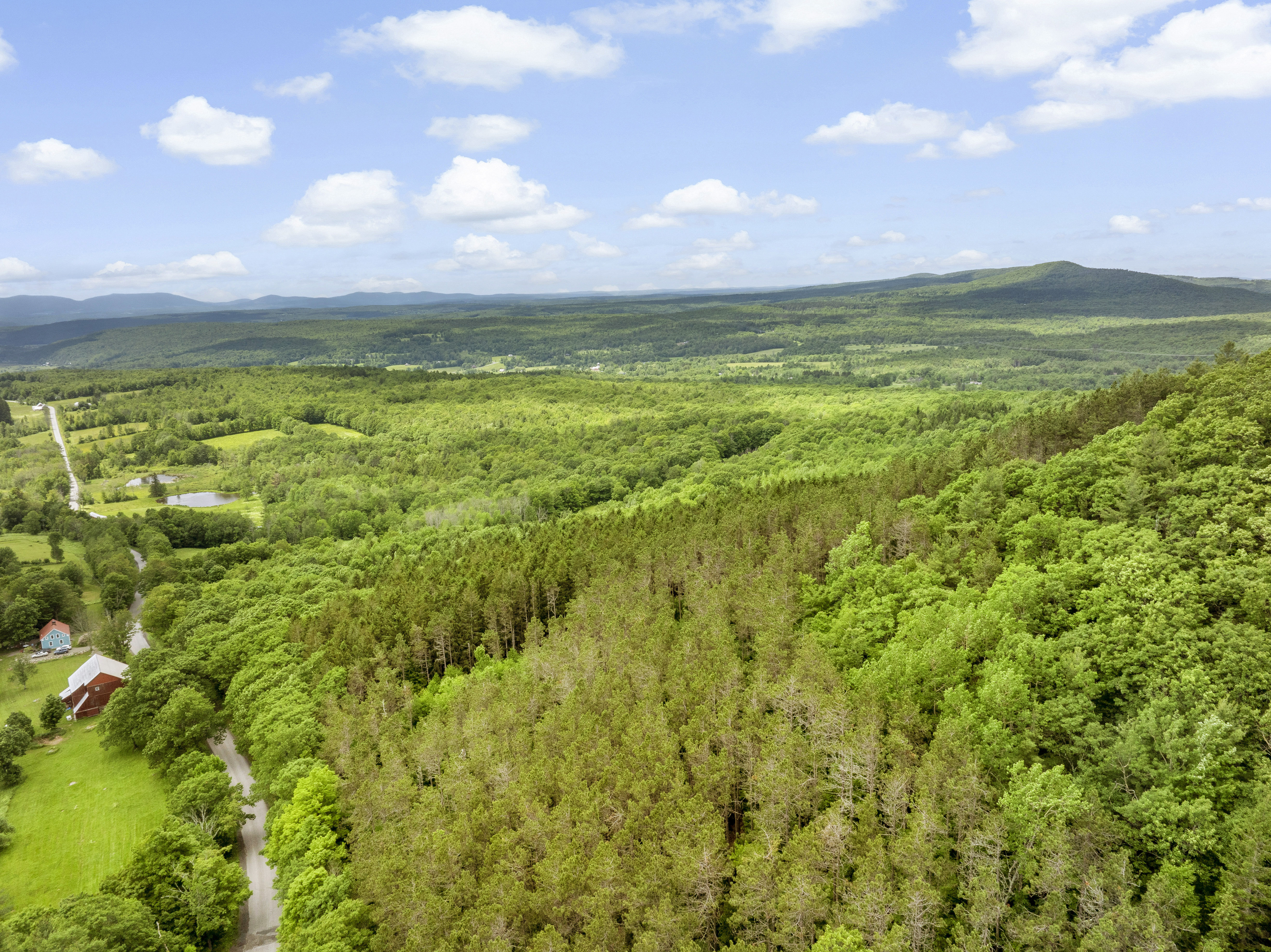  L3 Durham Road, Conesville, NY, 12076 - 物件實景