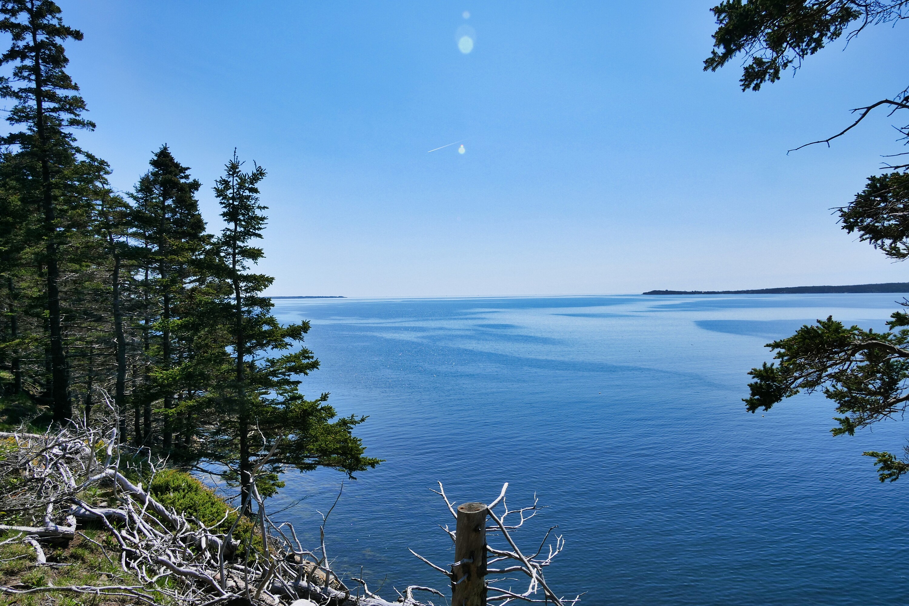  Feltzen South, South Shore - 物件實景