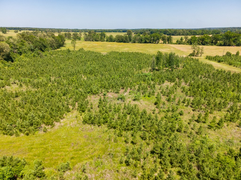 Pollok, Texas, 75969, United States, ,Residential,For Sale,1928088