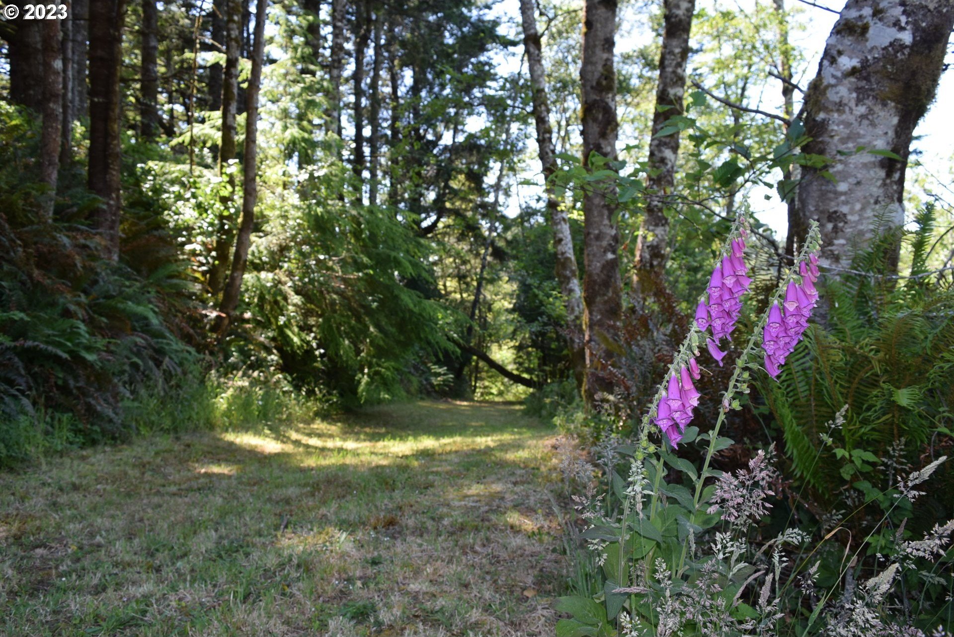 35606 COY CREEK RD, Gold Beach, Oregon, 97444, United States, 2 Bedrooms Bedrooms, ,1 BathroomBathrooms,Residential,For Sale,35606 COY CREEK RD,1301922