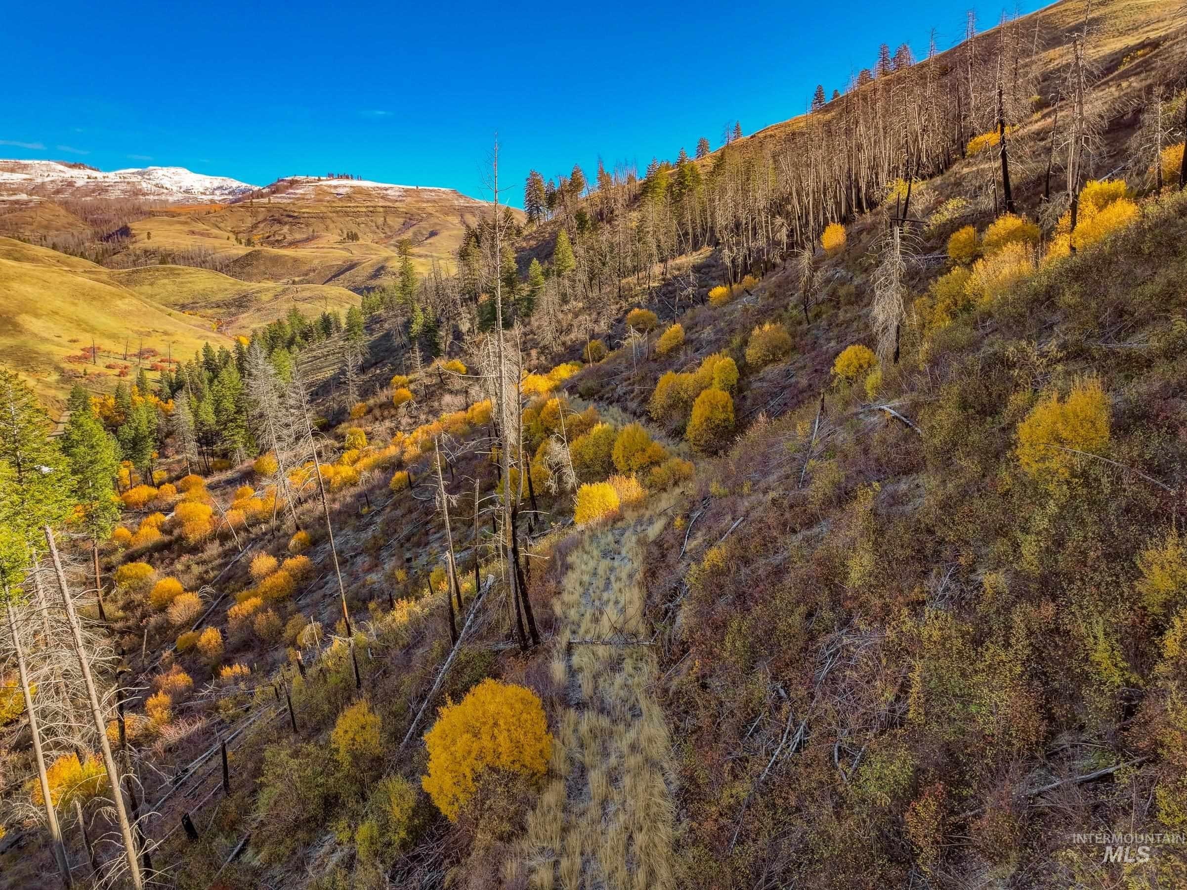 Council, Idaho, 83612, United States, ,Residential,For Sale,1975334