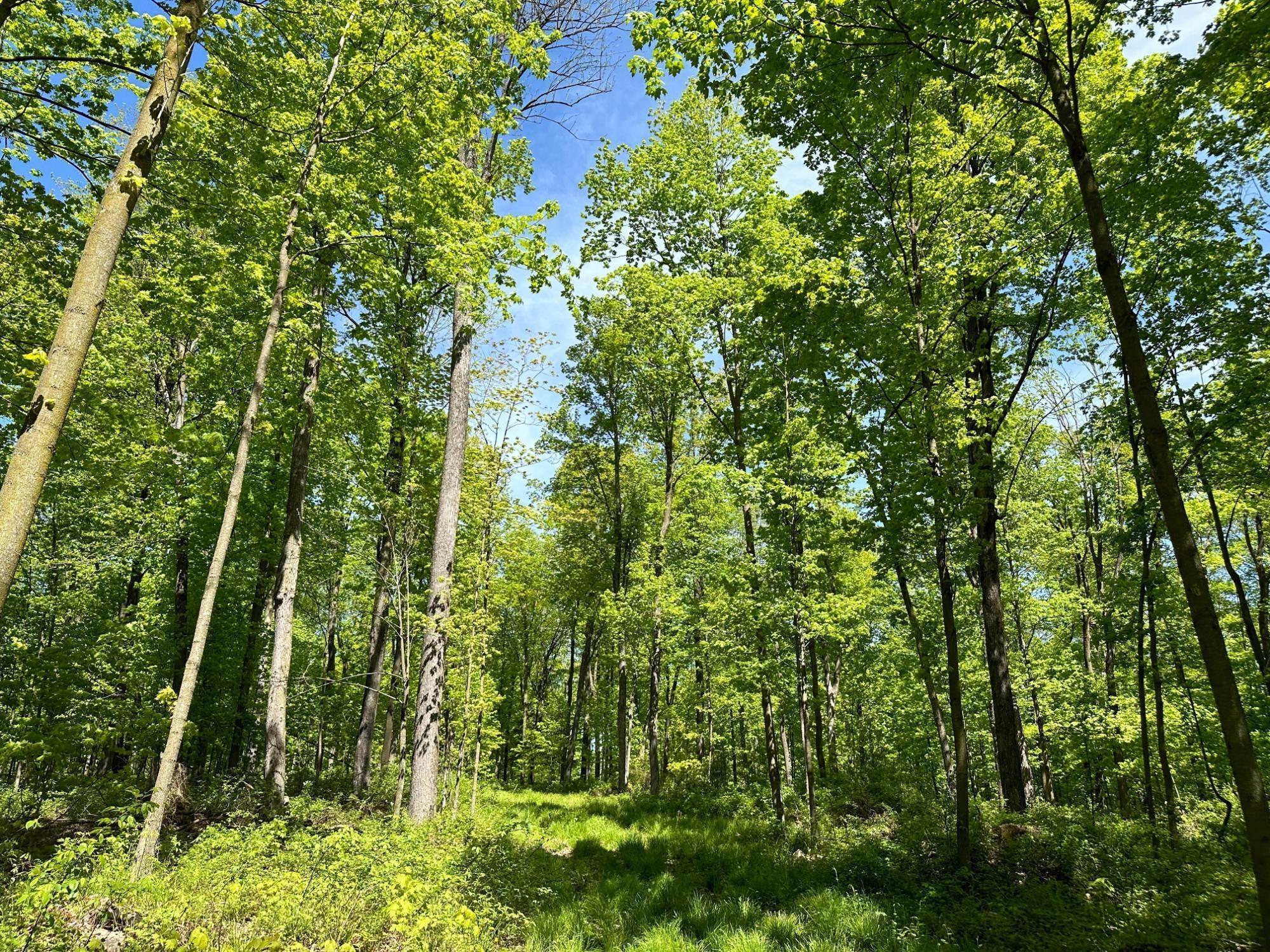 Maine, Wisconsin, 54452, United States, ,Residential,For Sale,1935602
