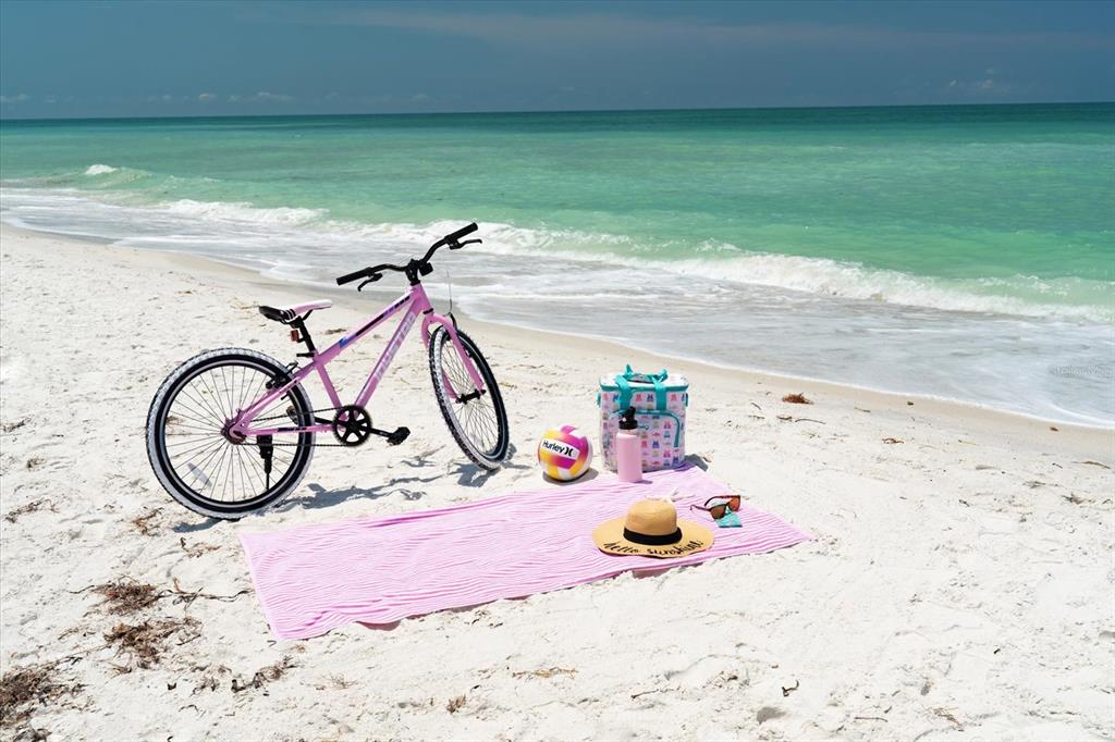 Clearwater Beach, Florida, 33767, United States, ,Land,For Sale,1838307