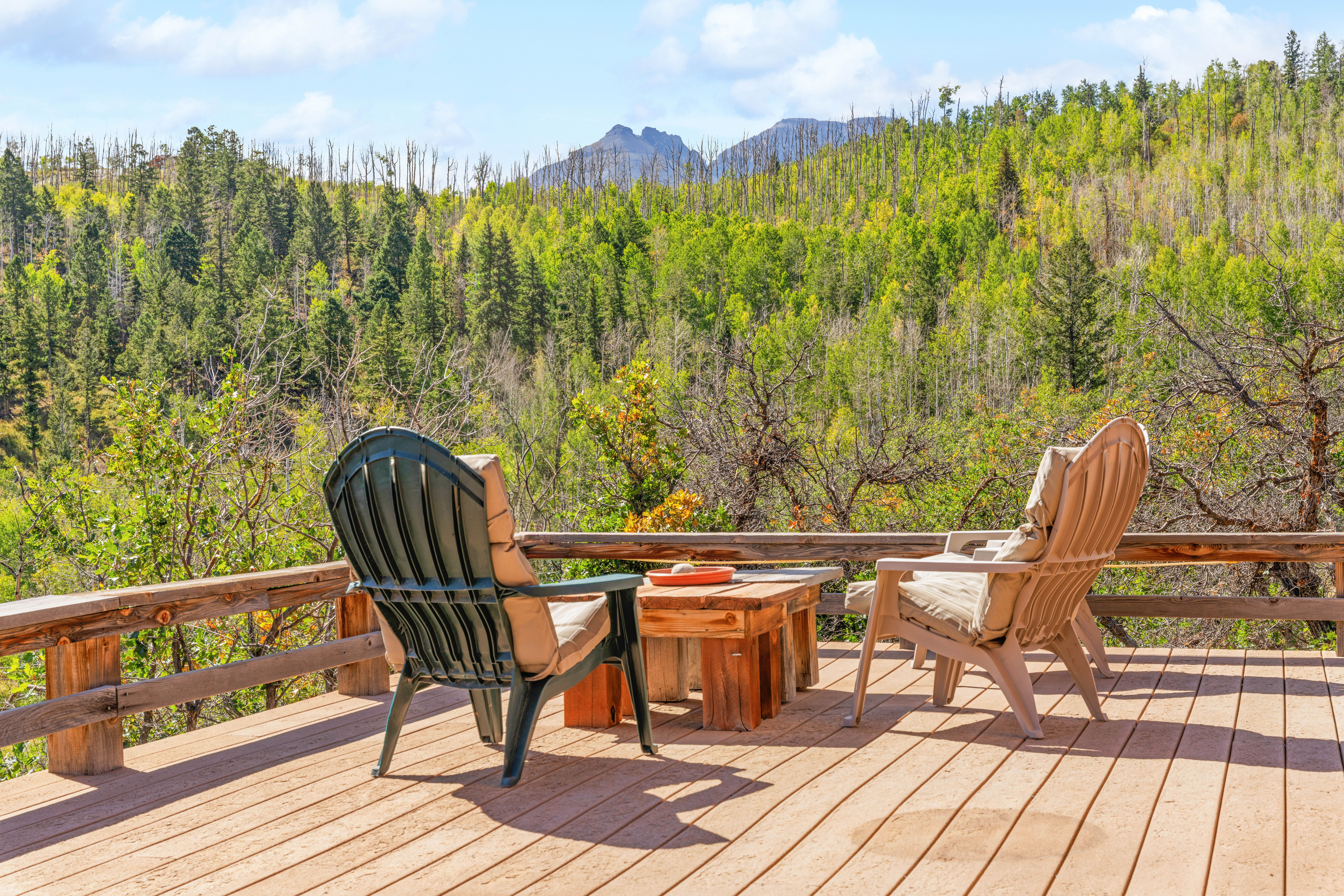  1100 Aspen Drive, Ridgway, CO, 81432 - 物件實景