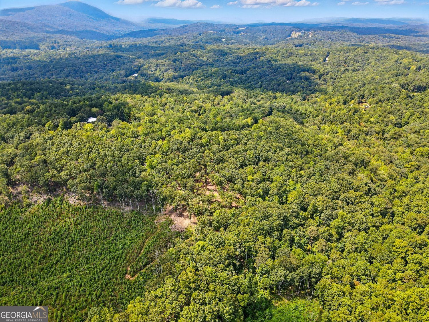 Waleska, Georgia, 30183, United States, ,Land,For Sale,1929808