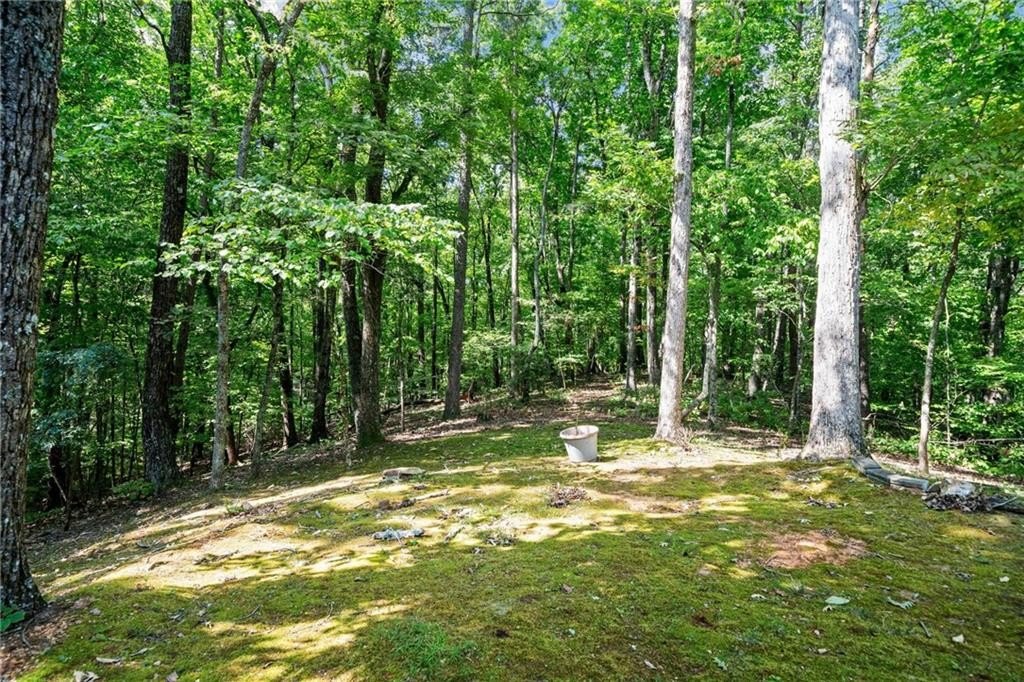 Jasper, Georgia, 30143, United States, 3 Bedrooms Bedrooms, ,2 BathroomsBathrooms,Residential,For Sale,1860851
