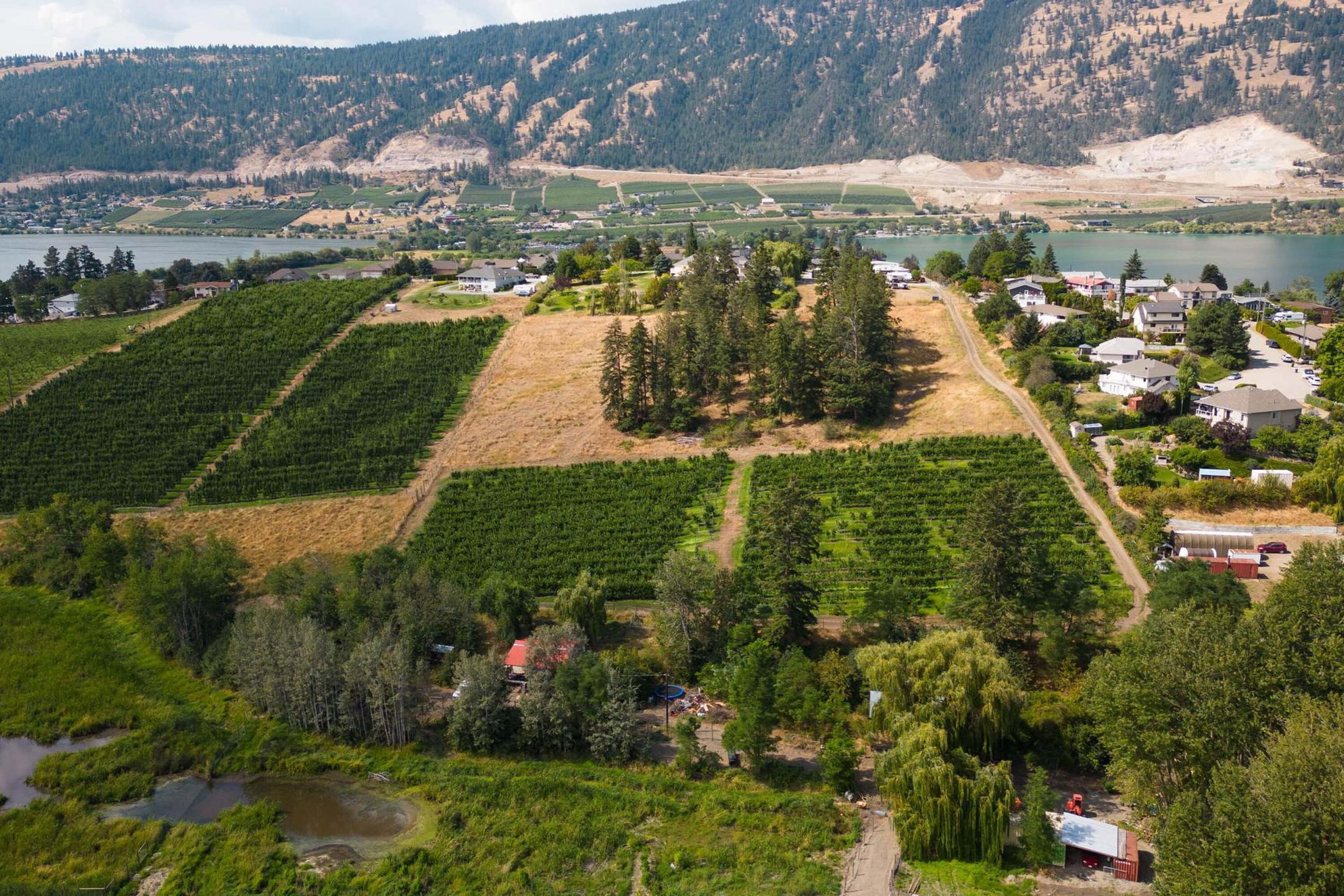  Stunning 10 Acre Parcel - 物件實景