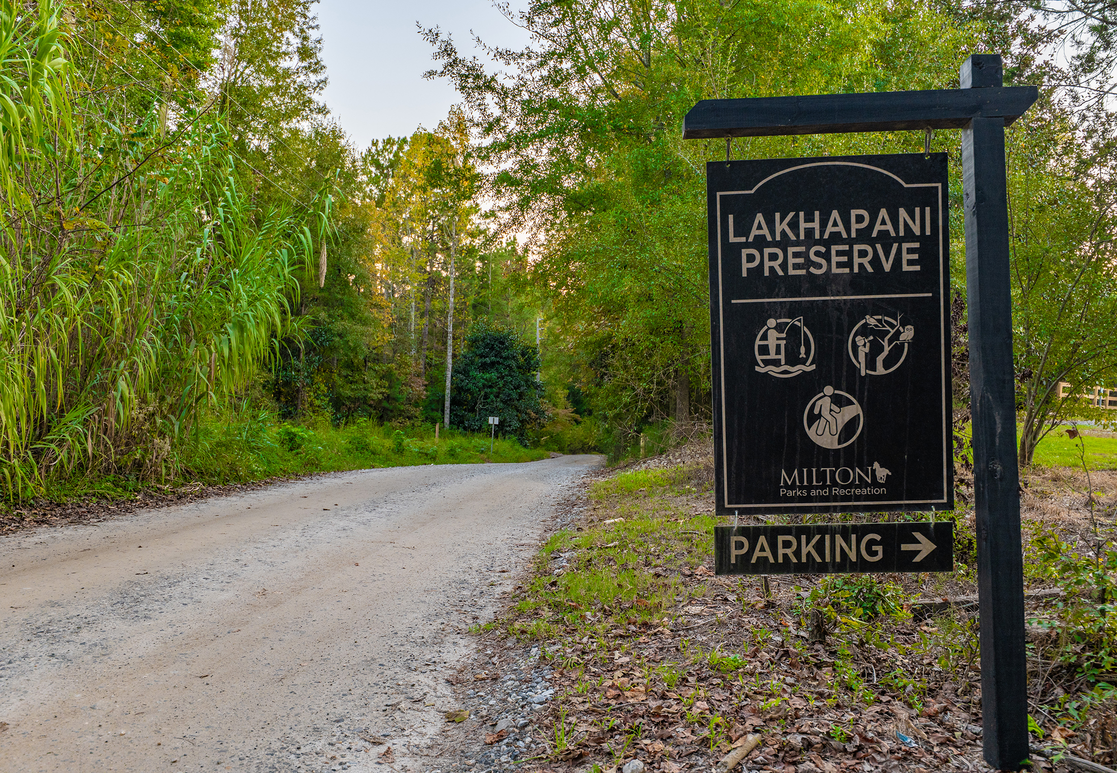  Timeless Colonial Elegance on Two Private Wooded Acres in Litchfield Hundred - 物件實景