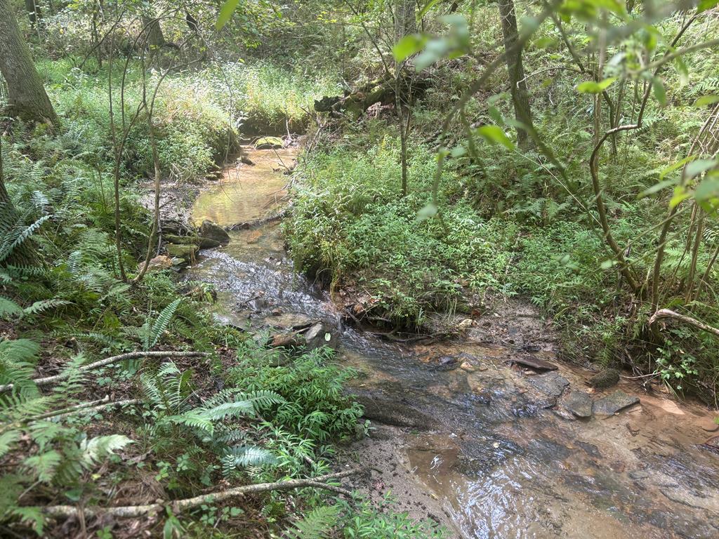 Blue Ridge, Georgia, 30513, United States, 4 Bedrooms Bedrooms, ,3 BathroomsBathrooms,Residential,For Sale,1919081