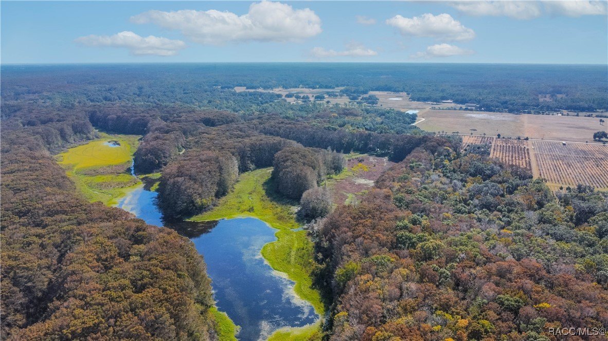 Inverness, Florida, 34450, United States, 4 Bedrooms Bedrooms, ,7 BathroomsBathrooms,Residential,For Sale,2005409