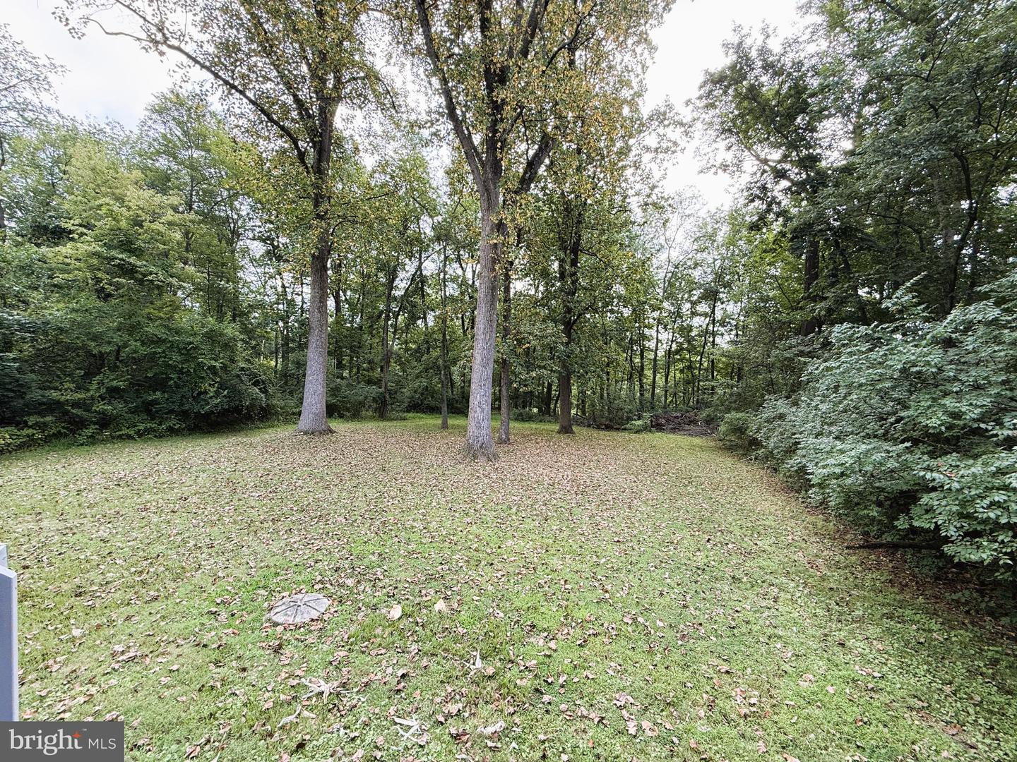 North Wales, Pennsylvania, 19454, United States, ,Land,For Sale,1919909