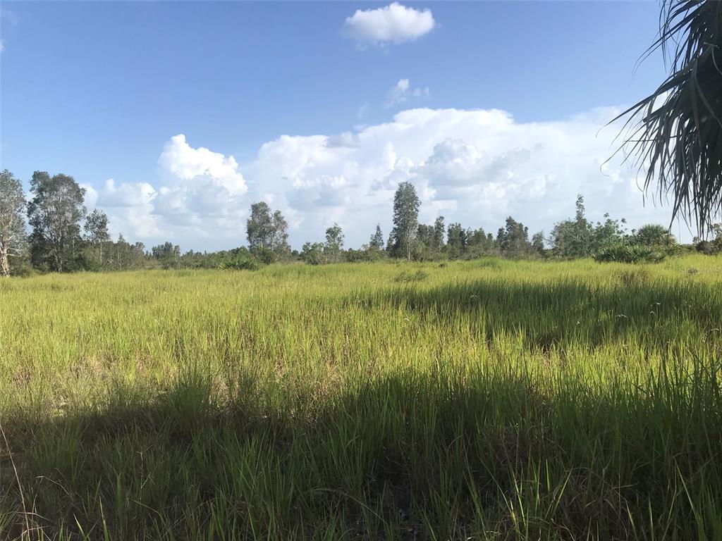 Punta Gorda, Florida, 33982, United States, ,Land,For Sale,1806148