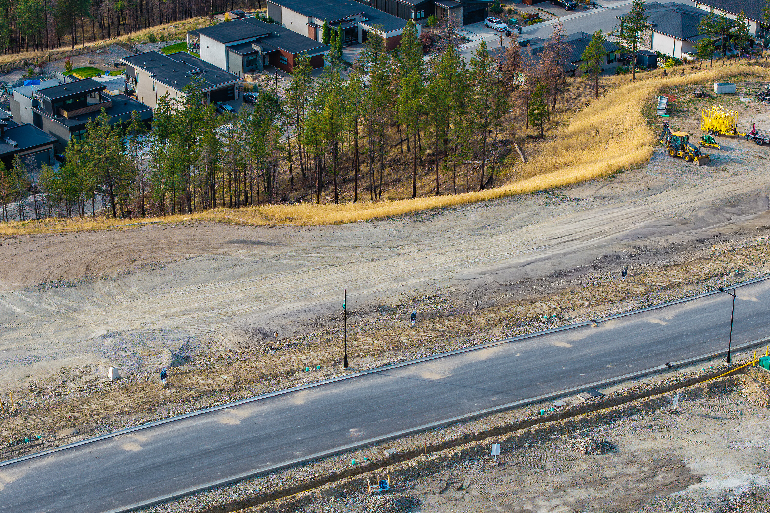  Premier Lakeview Lot - 物件實景