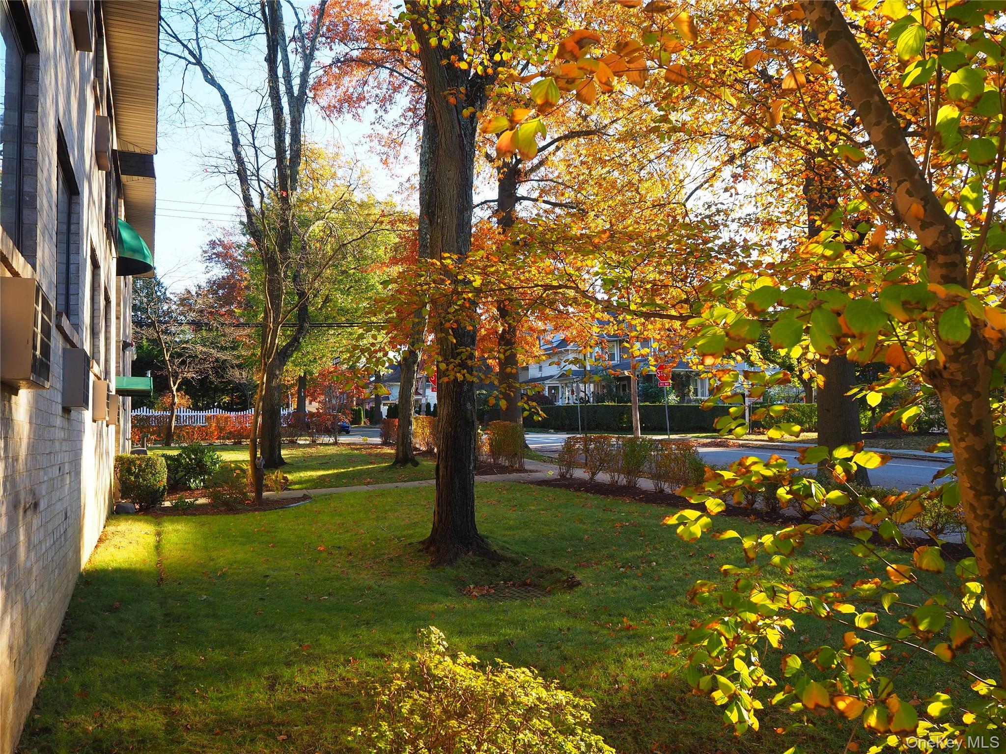 White Plains, New York, 10605, United States, 1 Bedroom Bedrooms, ,2 BathroomsBathrooms,Residential,For Sale,1988254