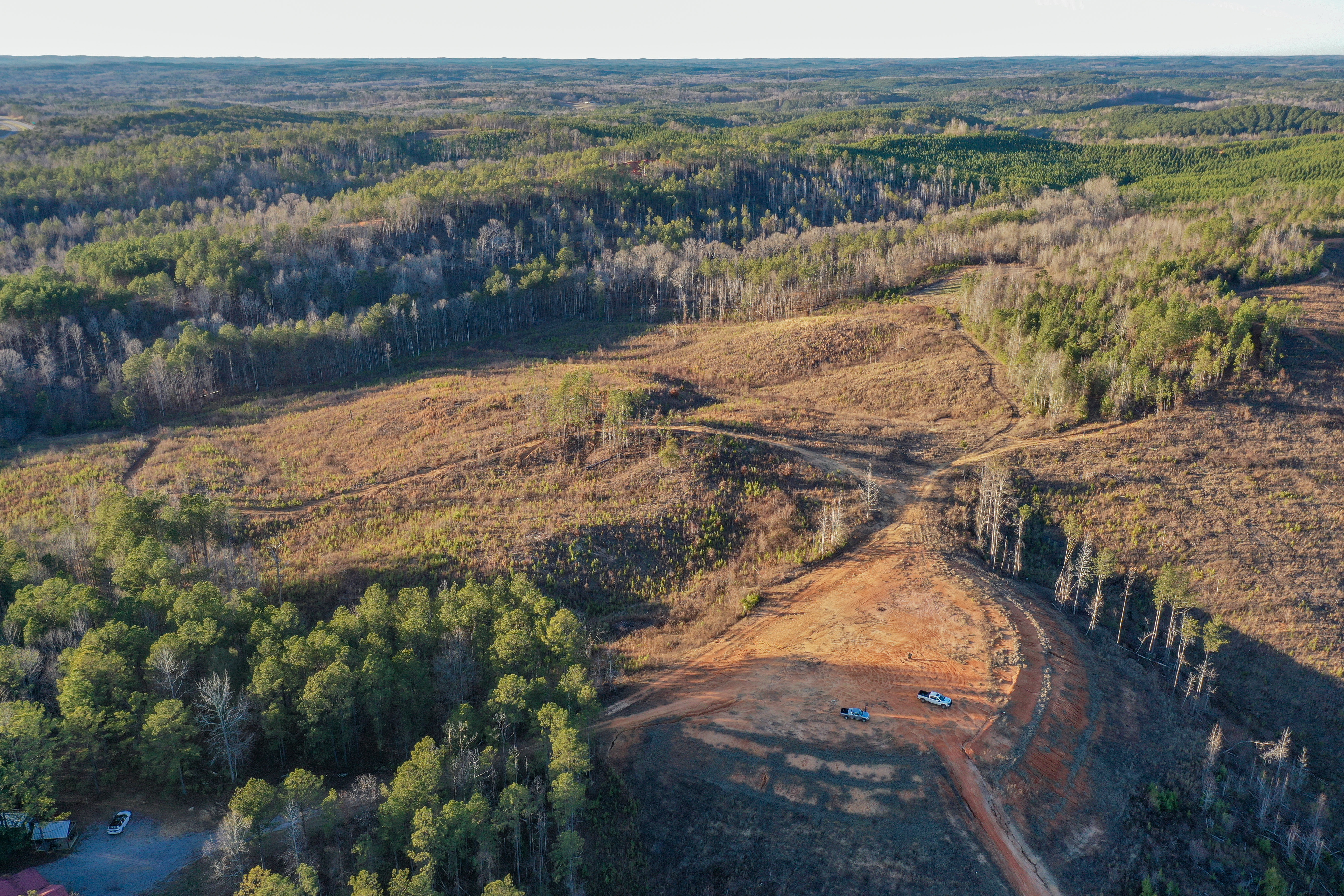 Centreville, Alabama, 35042, United States, ,Land,For Sale,2010430
