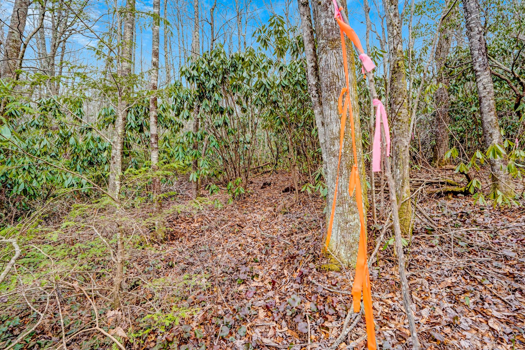  Lot 21 Hardscrabble Ridge Road - 物件實景