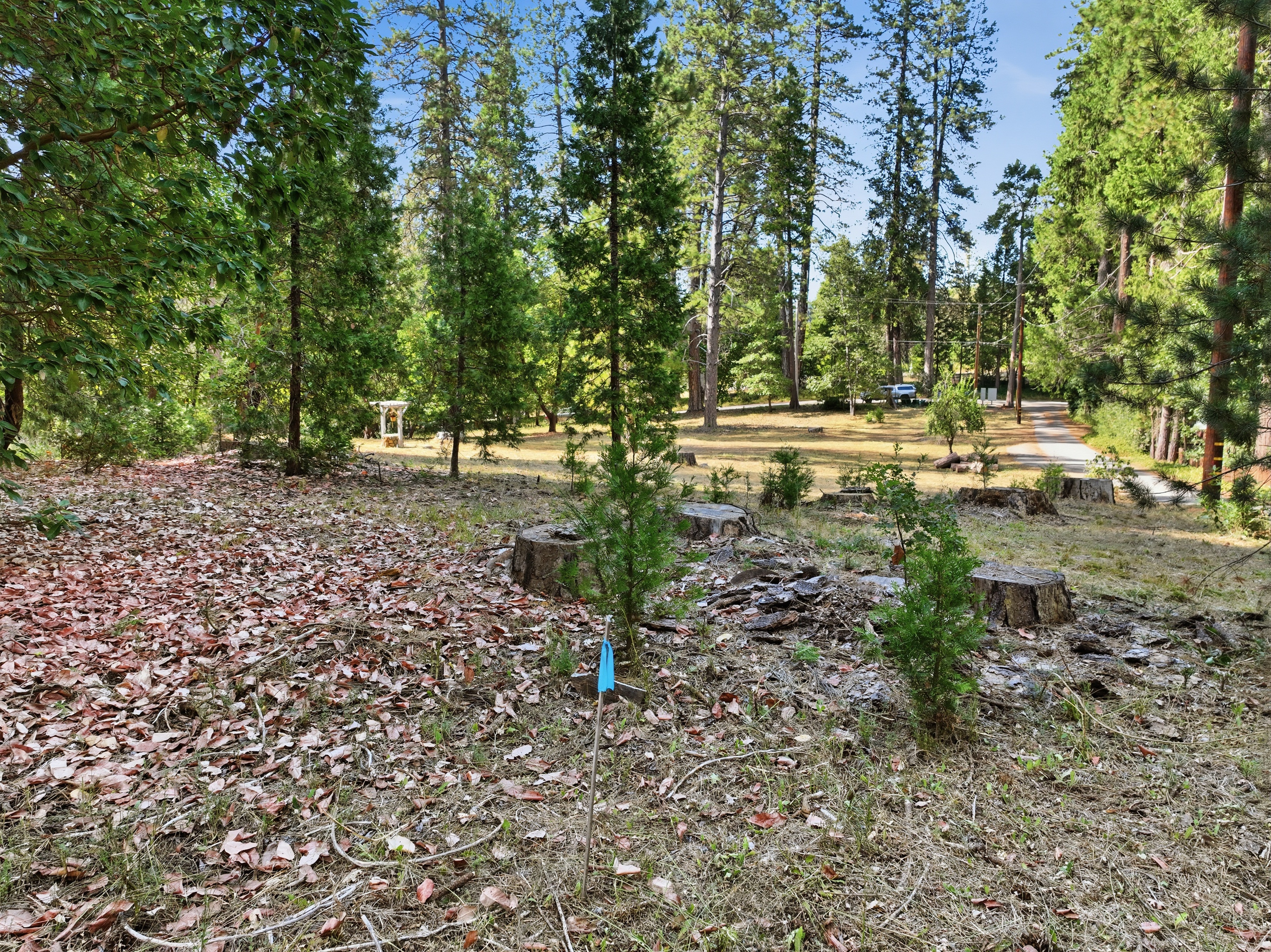  10423 Park Avenue, Grass Valley, CA 95945 - 物件實景