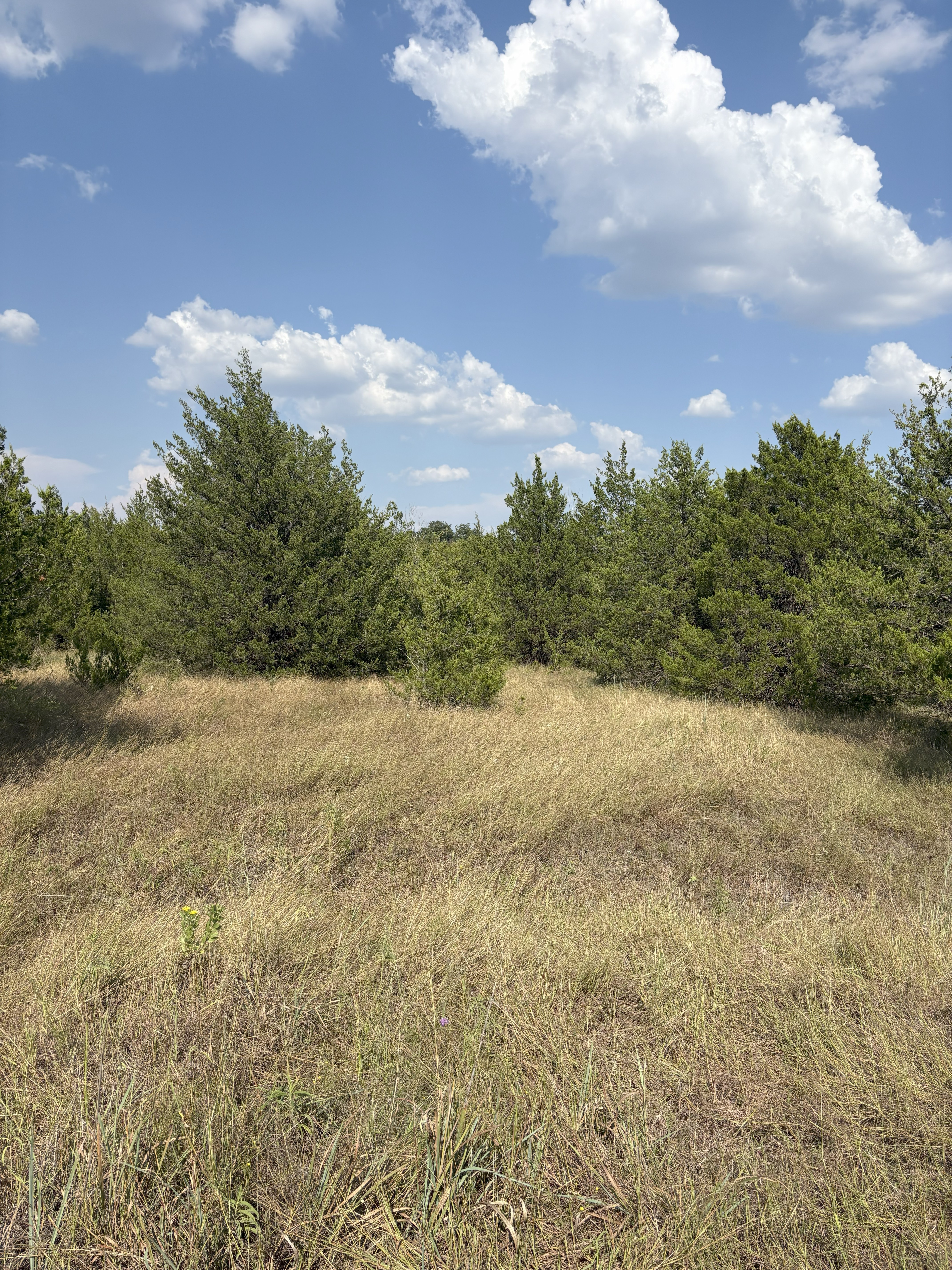 Roxton, Texas, 75477, United States, ,Land,For Sale,1979032