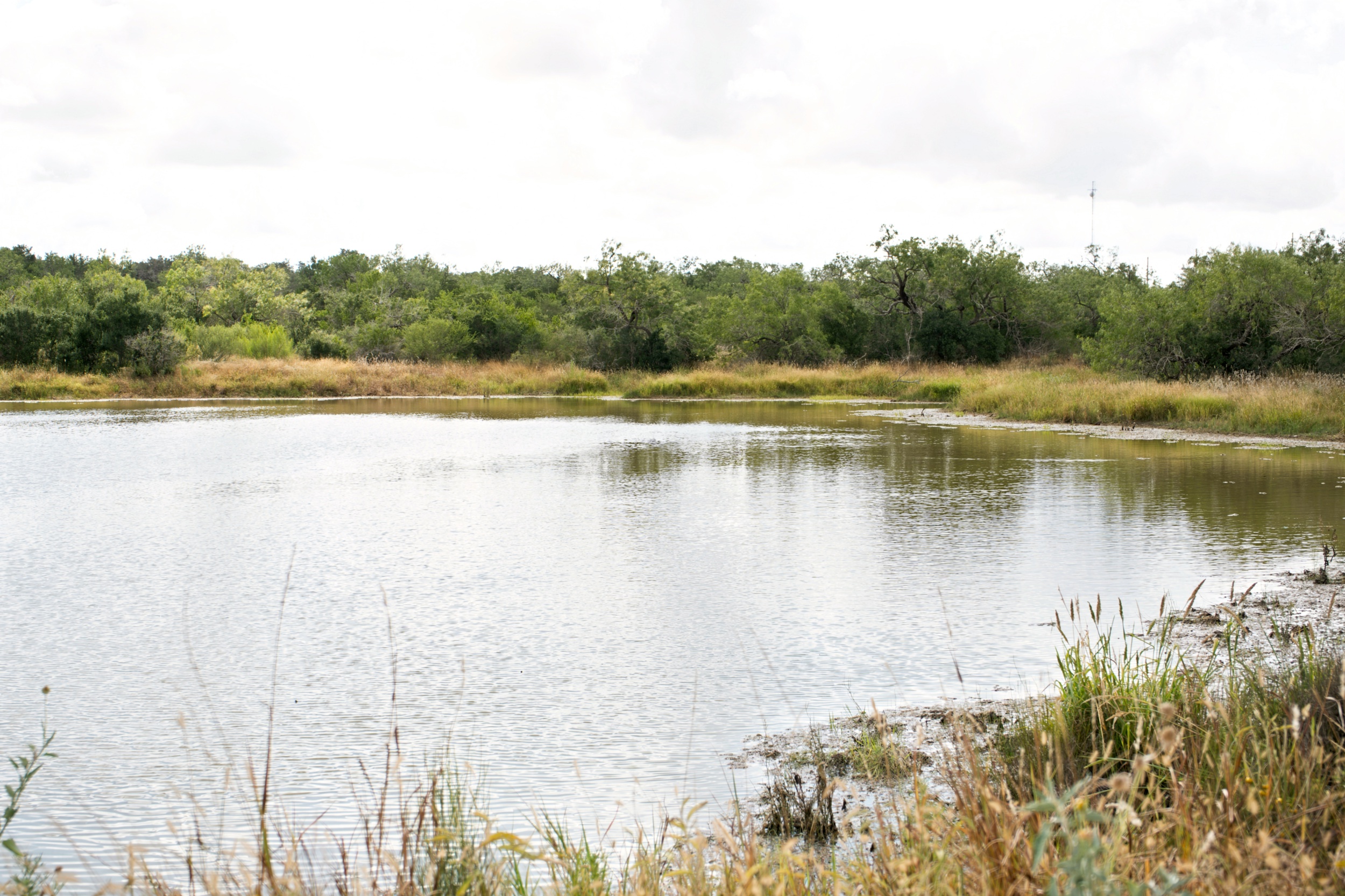  1234.89 +/- Acres, Santa Clara Ranch, Atascosa County, Falls City, TX 78113 - 物件實景