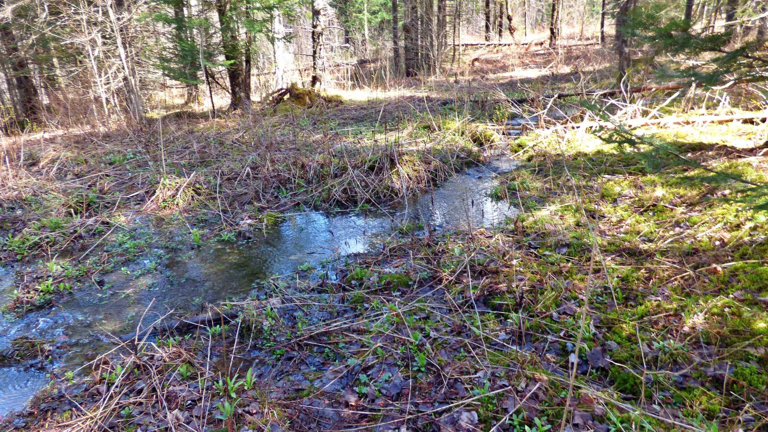 Wheelock, Vermont, 05851, United States, ,Land,For Sale,2017669