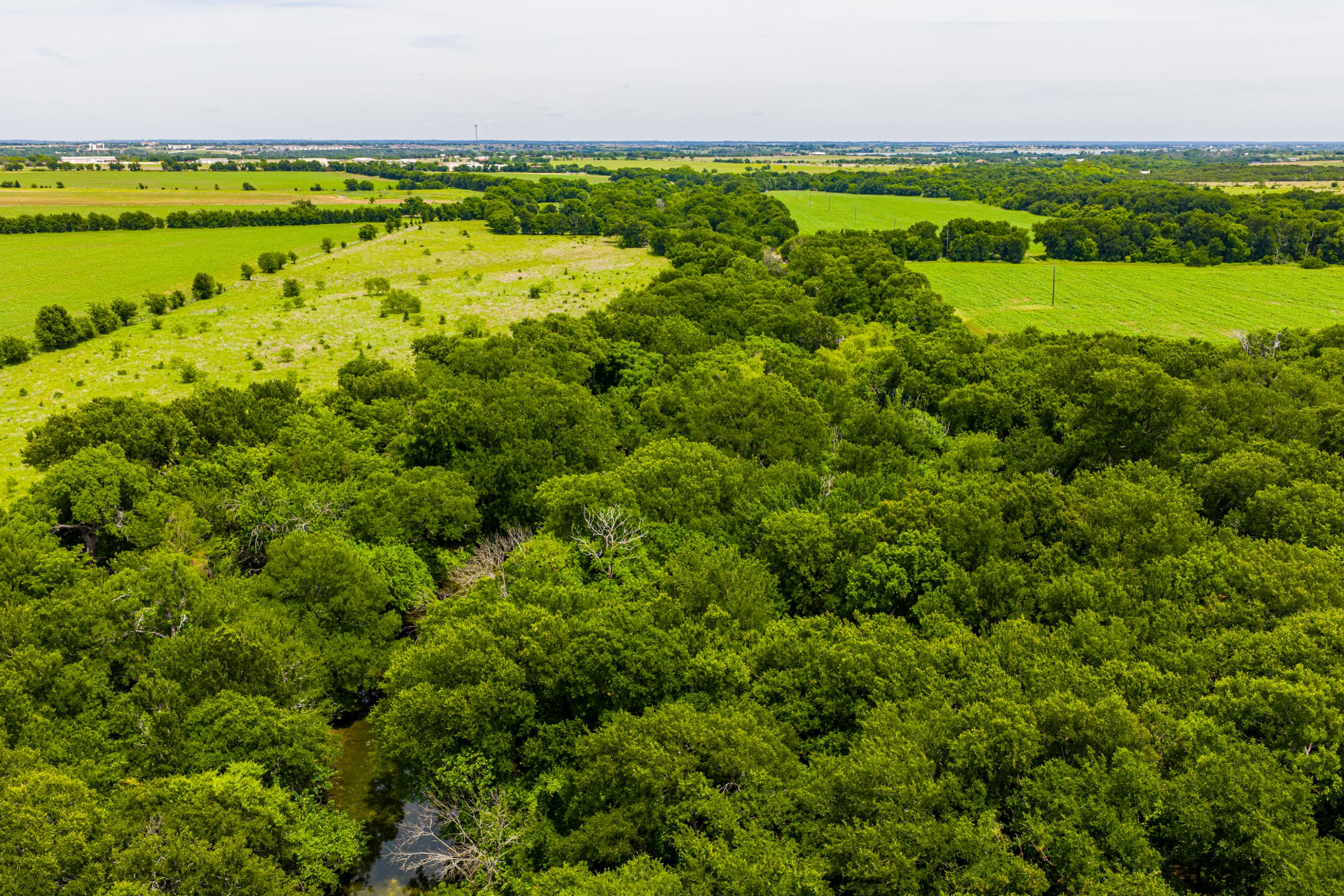  667 Acre Development Property With Two Miles Of Highway Frontage - 物件實景
