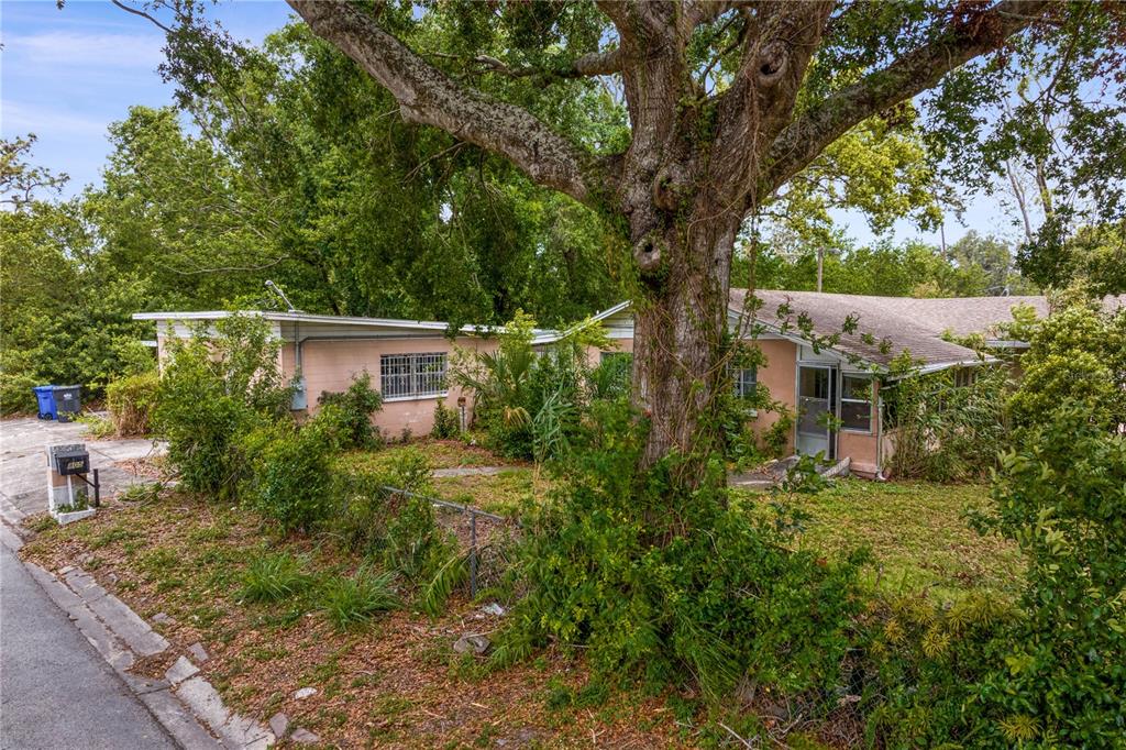 Tampa, Florida, 33612, United States, ,Land,For Sale,1766480