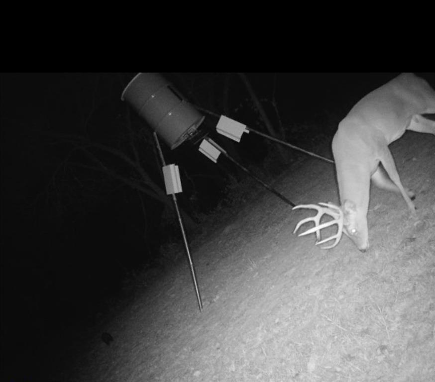 Alvord, Texas, 76225, United States, 3 Bedrooms Bedrooms, ,2 BathroomsBathrooms,Residential,For Sale,2006100